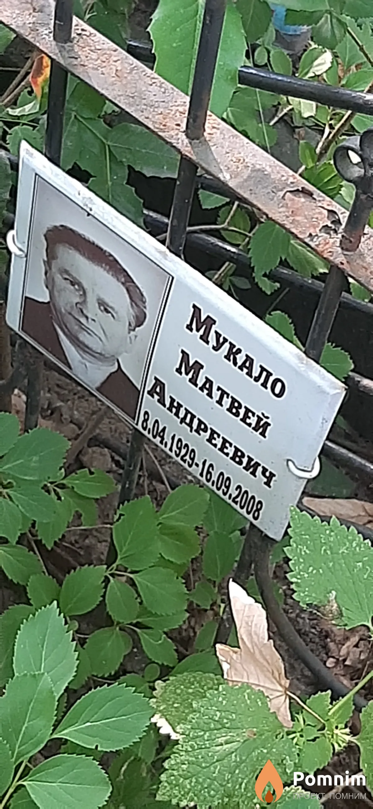 Мукало Матвей Адреевич