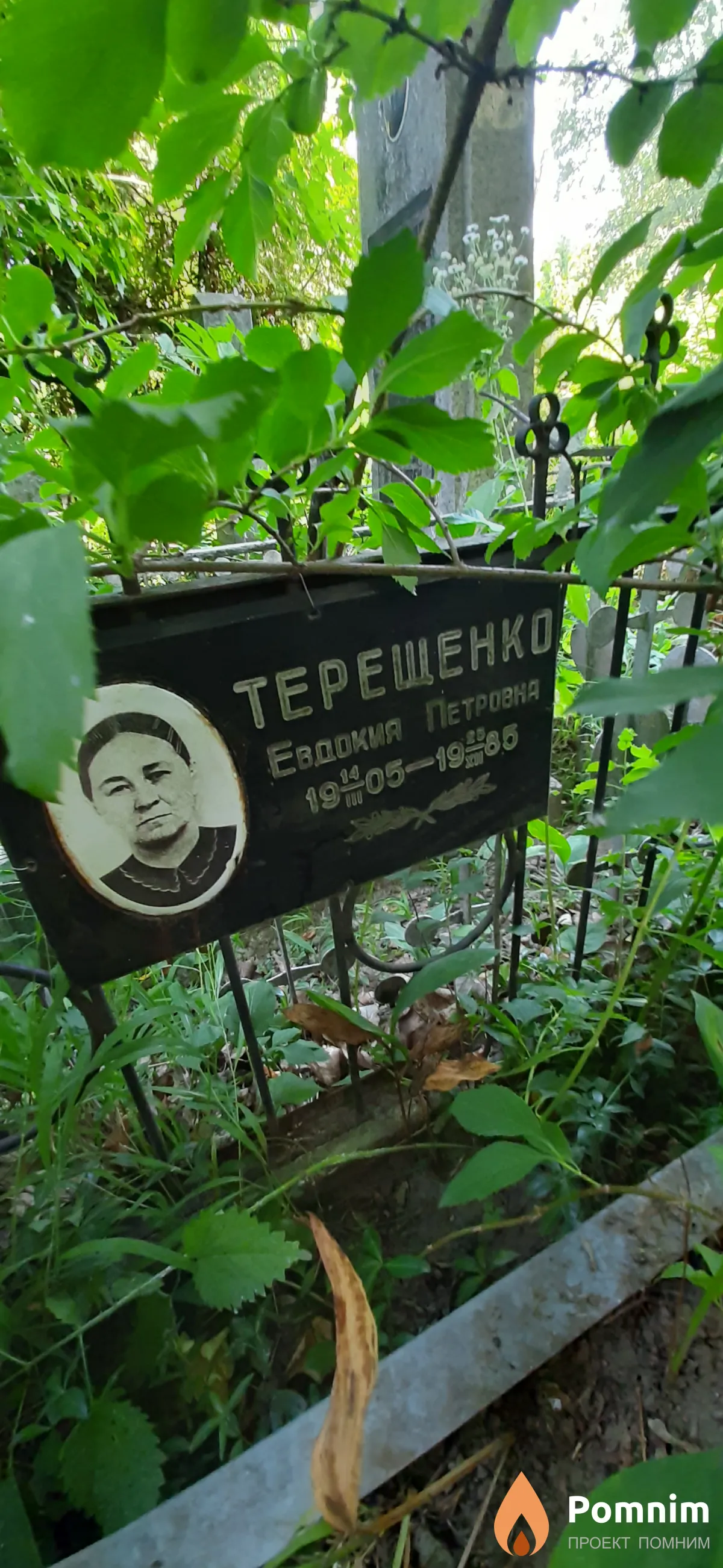 Терещенко Евдокия Петровна