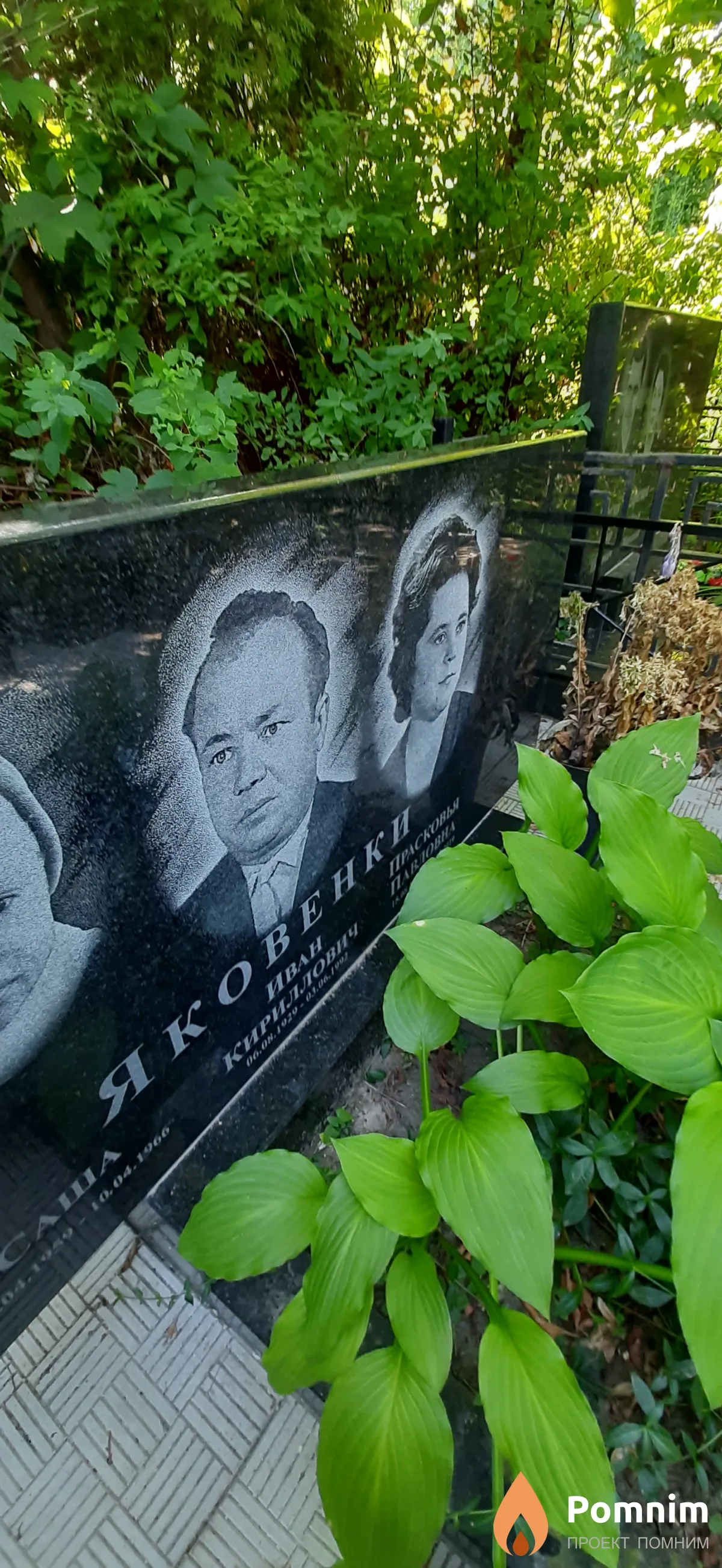 Яковенко Прасковья Павловна