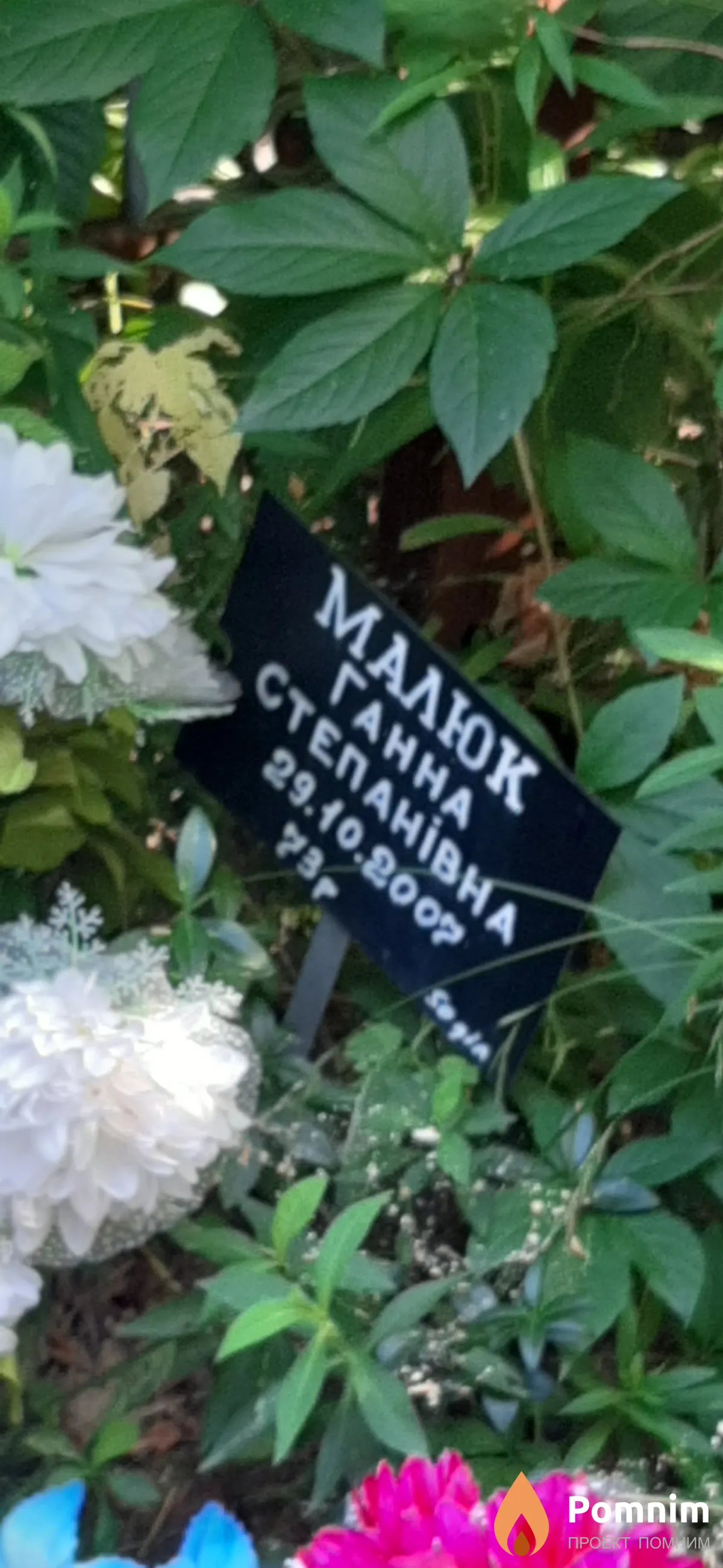 Мклюк Ганна Степановна