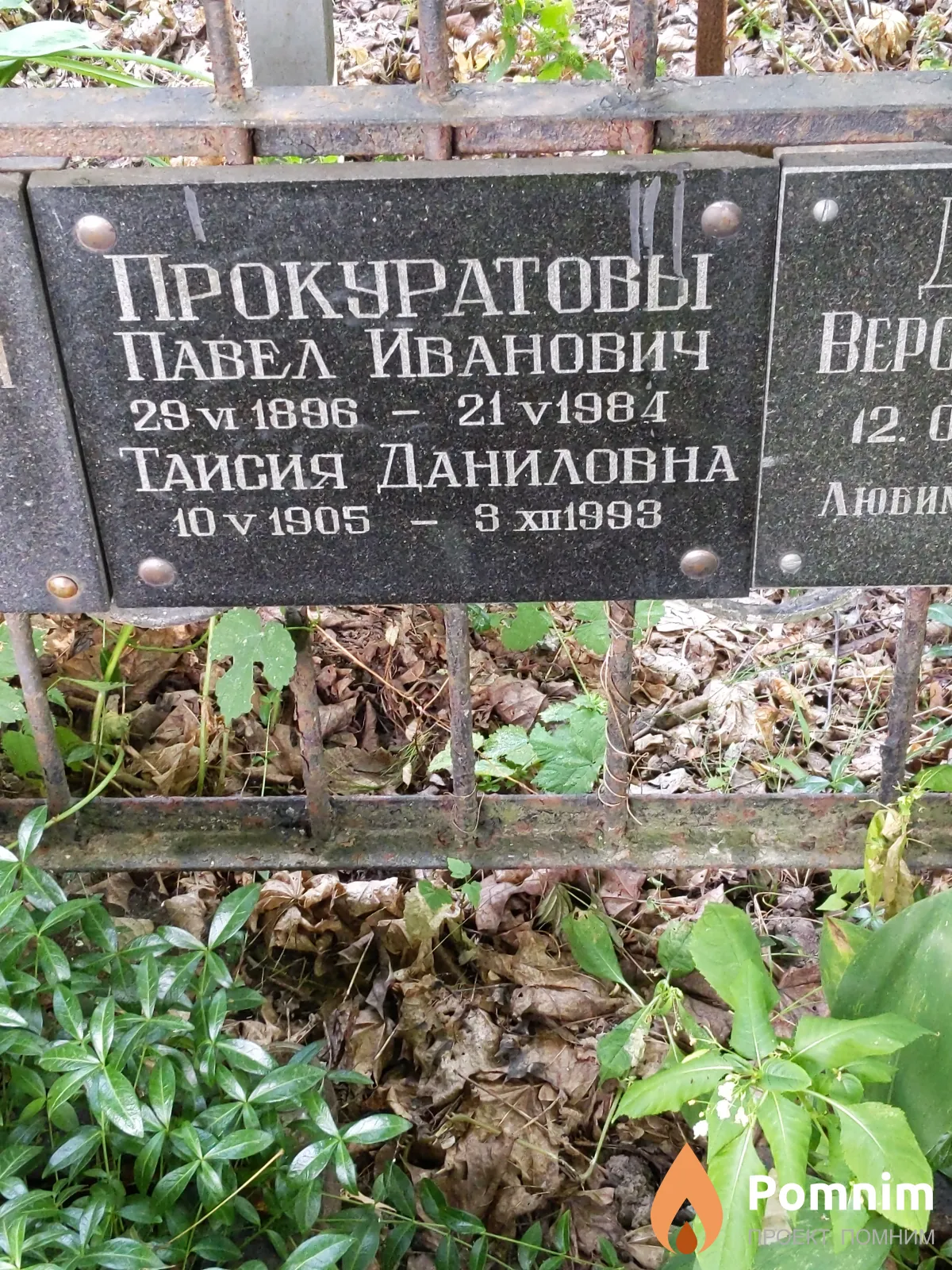 Прокуратов Павел Иванович