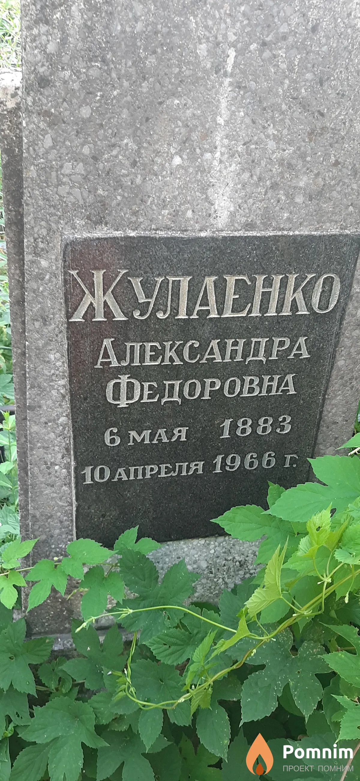 Жулаенко Александра Федоровна