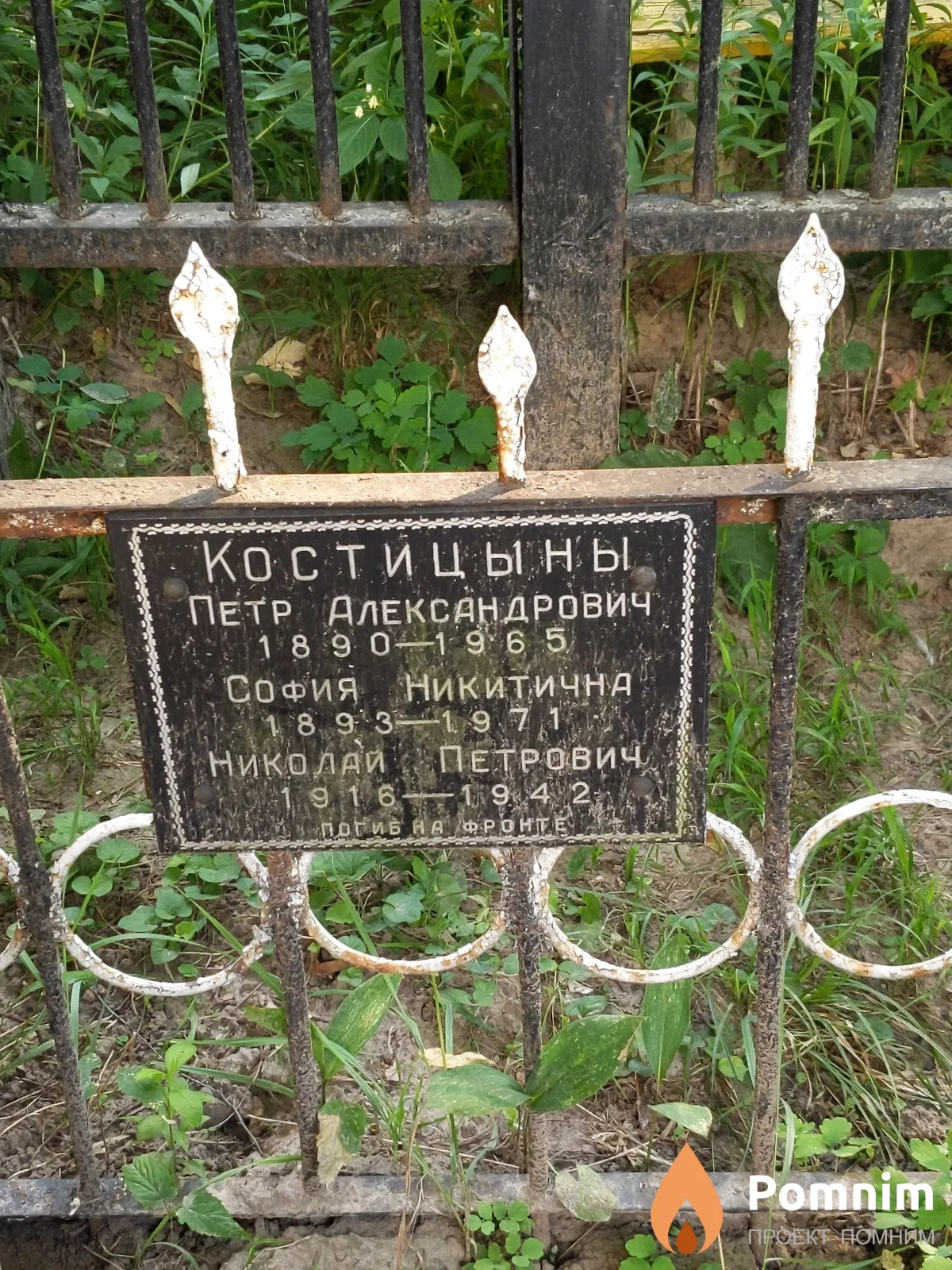 Костицын София Никитична