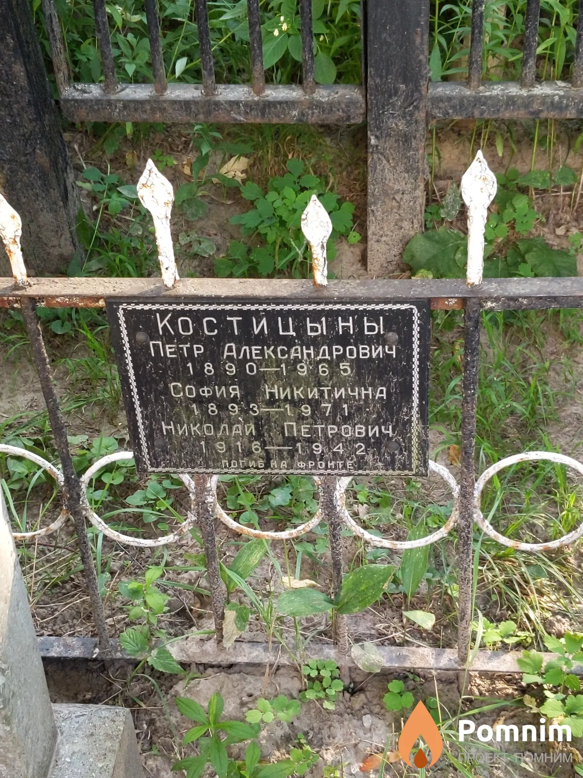 Костицын Николай Петрович