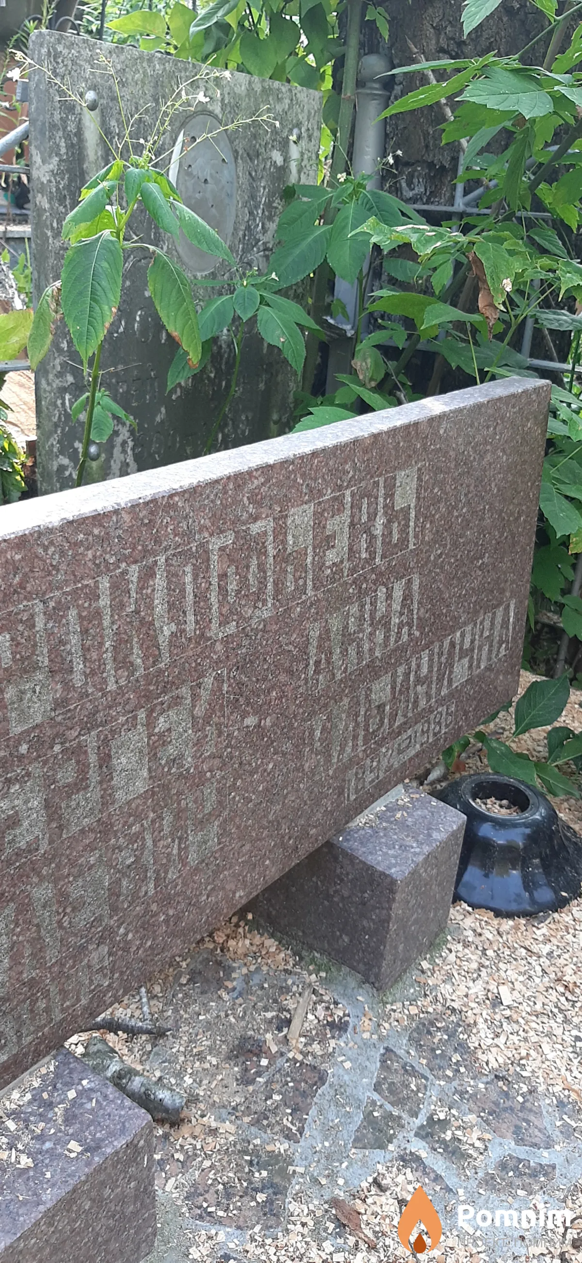 Прокофьева Анна Ильинична