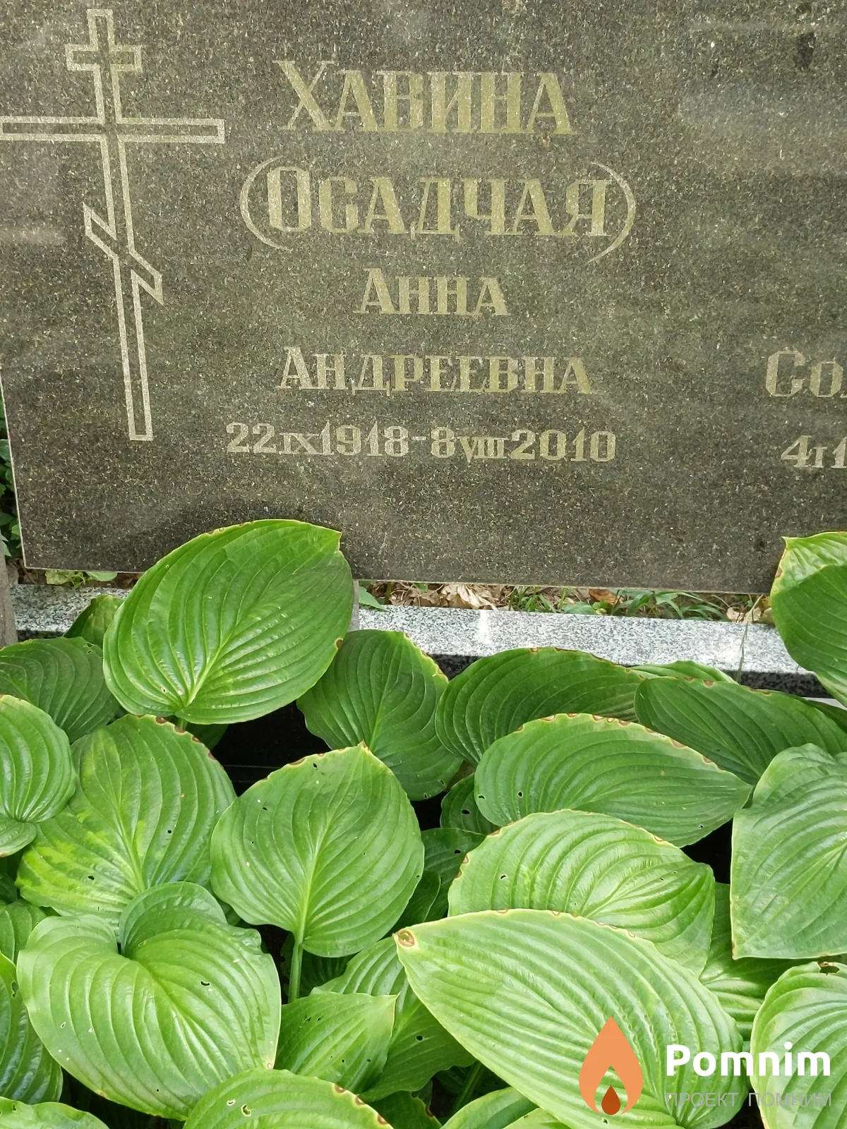 Хавина ( Осадчая) Анна Андреевна