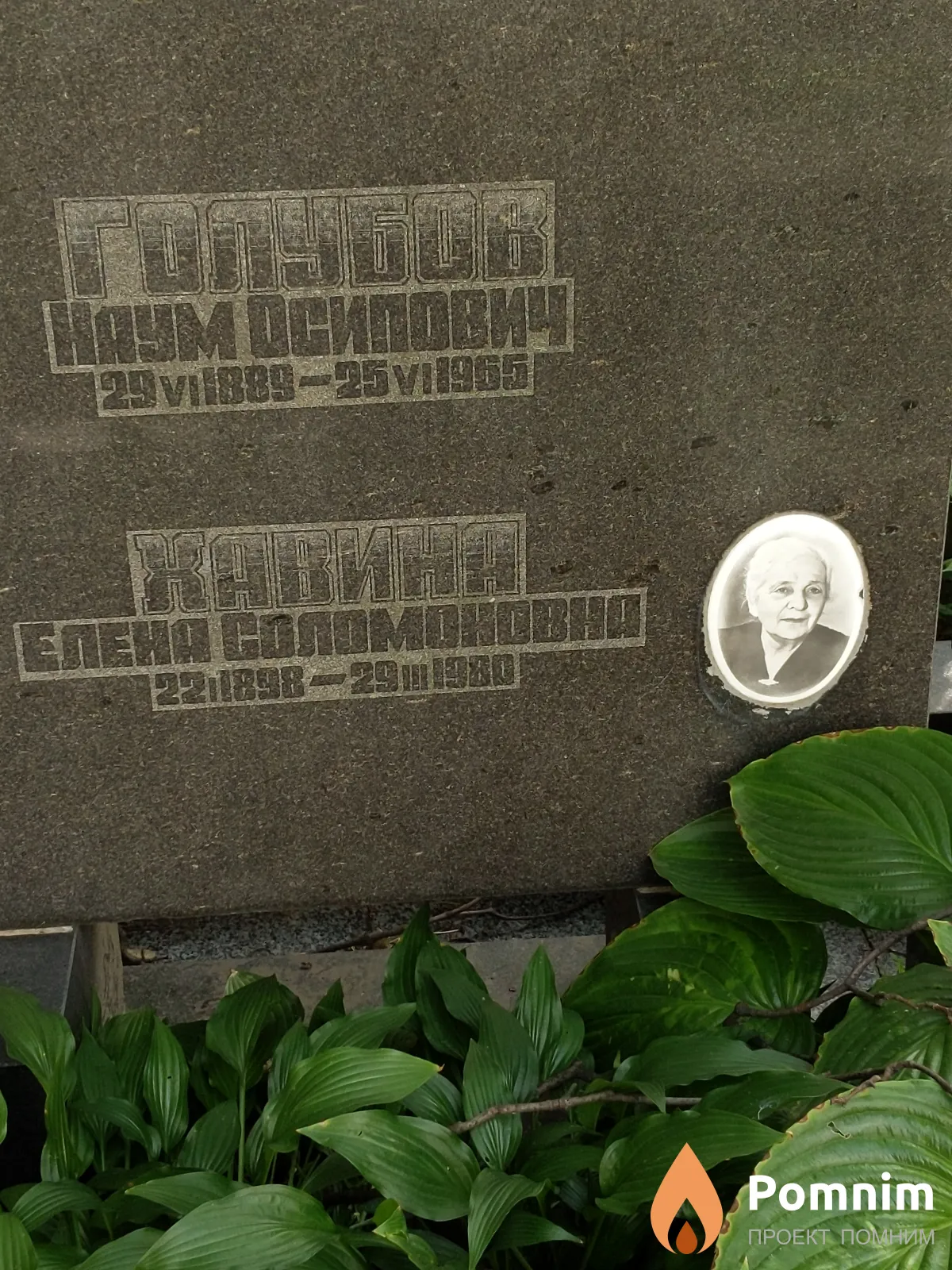 Хавина Елена Соломоновна
