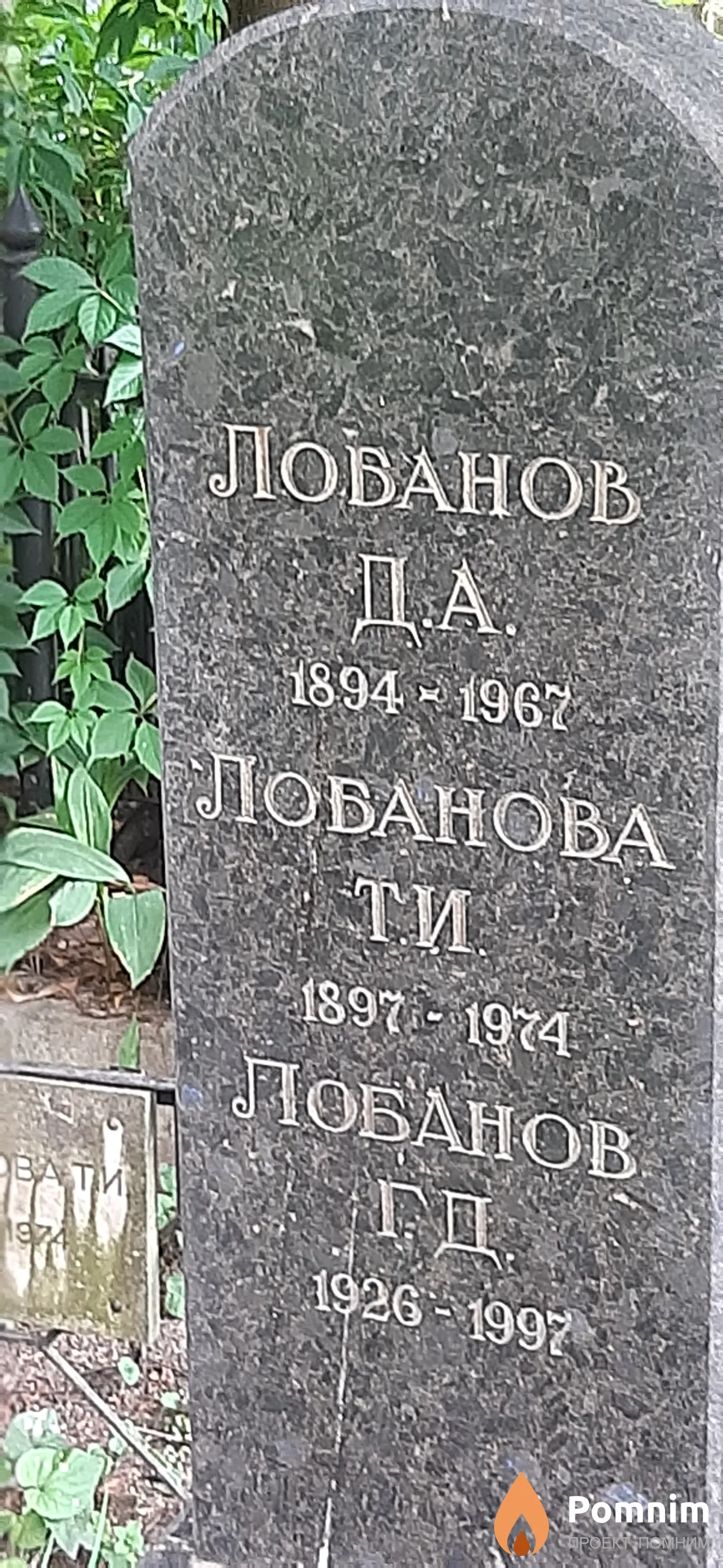 Лобанов Д. А.