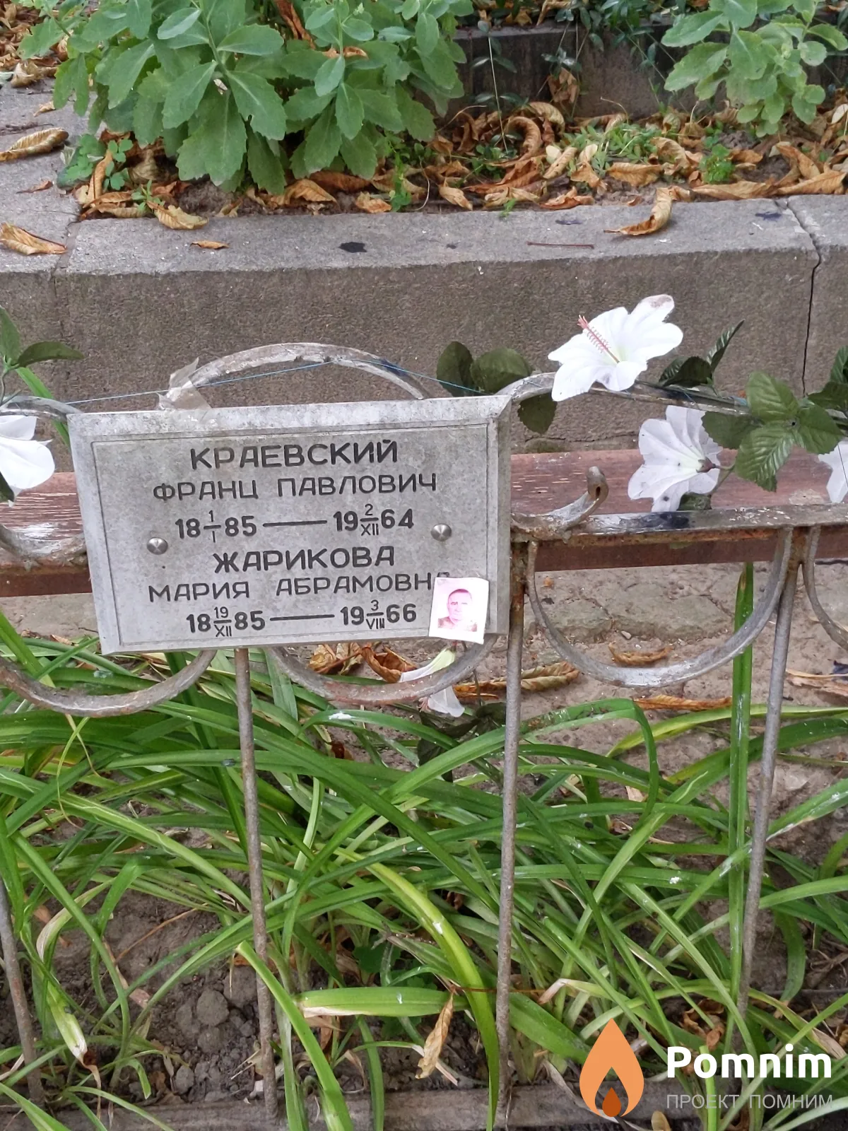 Краевский Франц Павлович