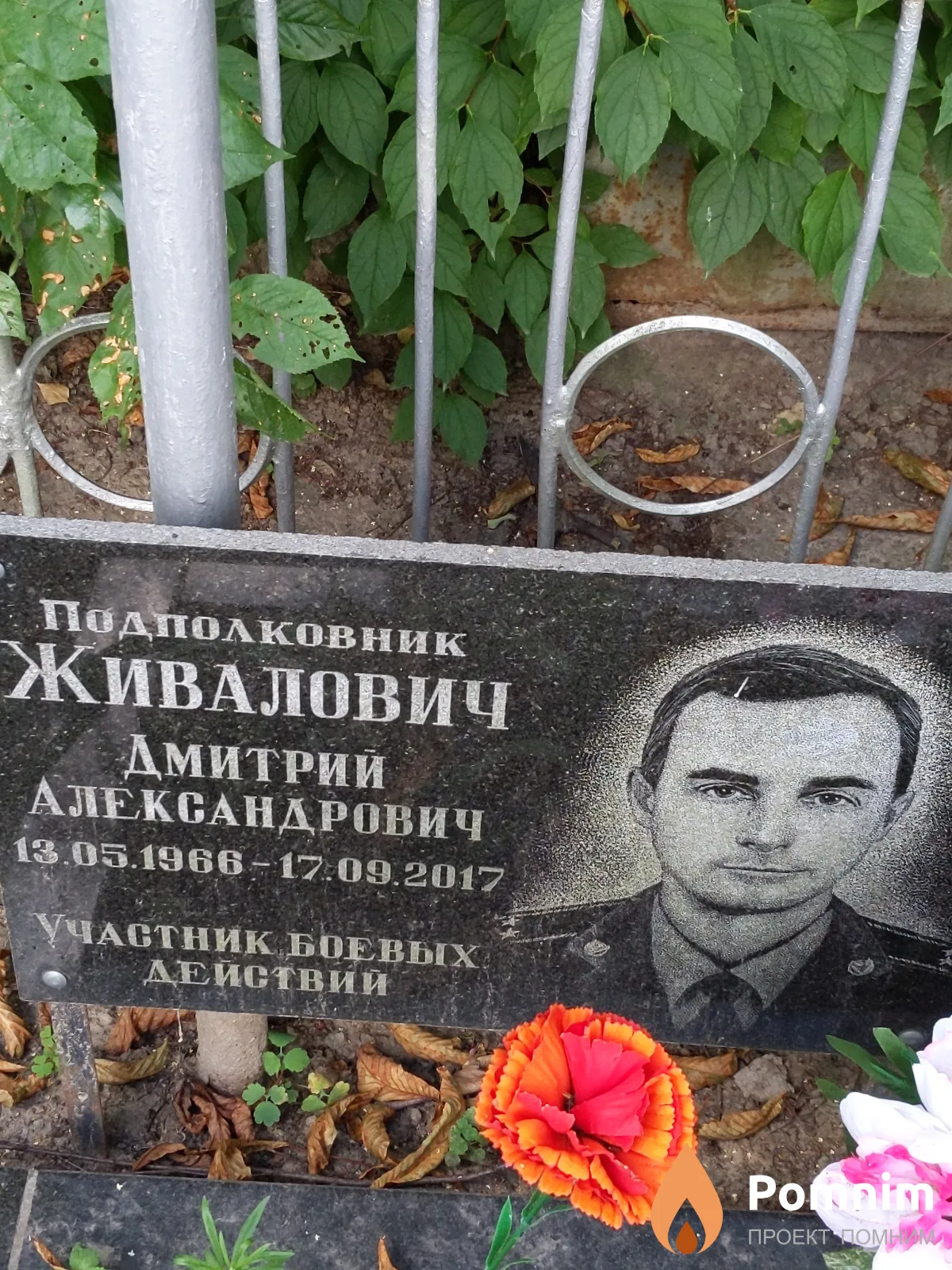 Дмитрий Александрович Живалович