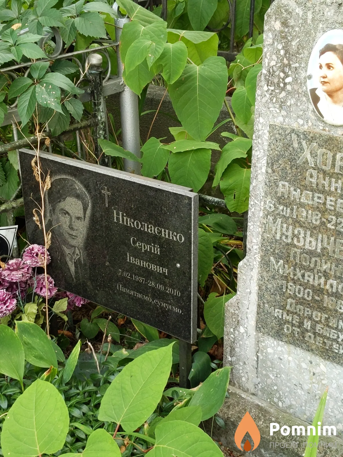 Николаенко Сергей Иванович