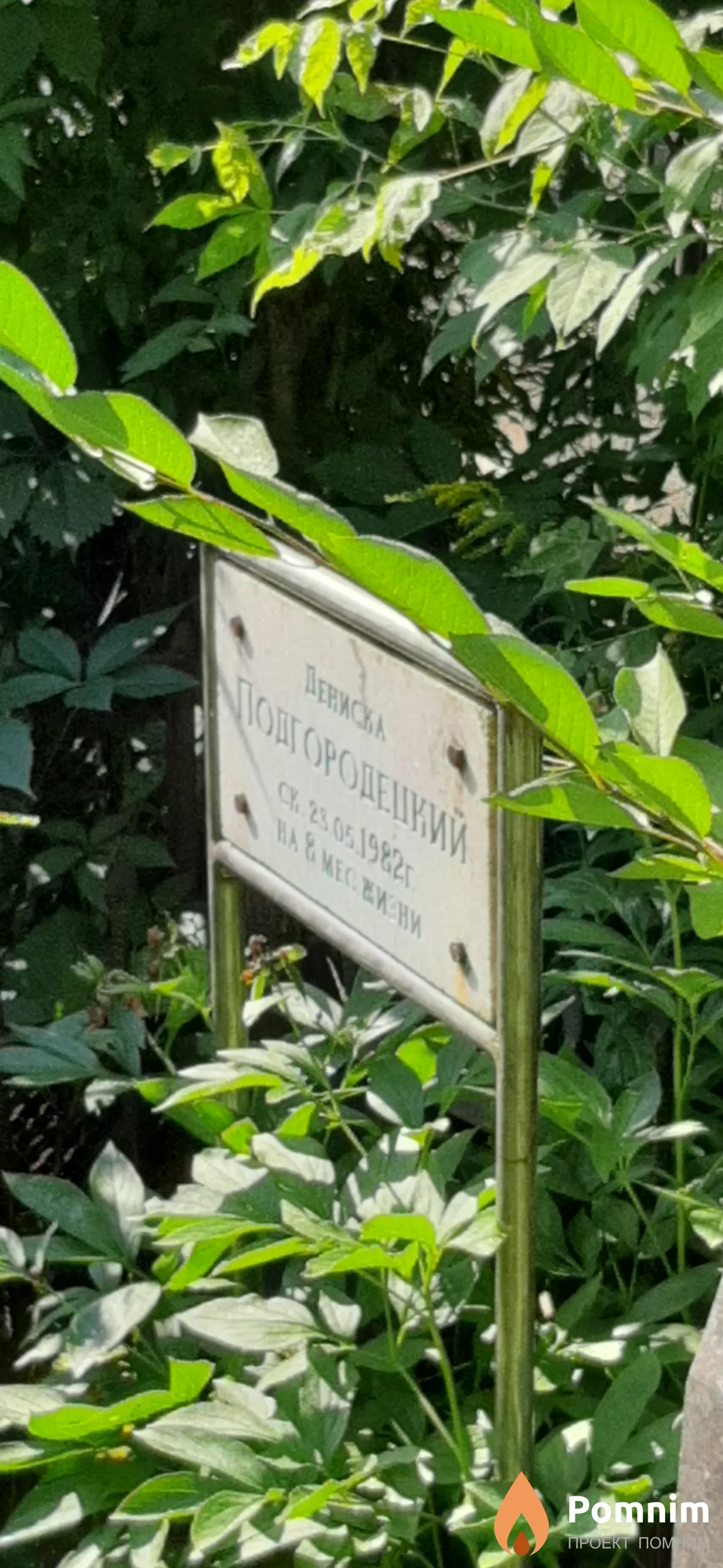 Погороденный Дениска