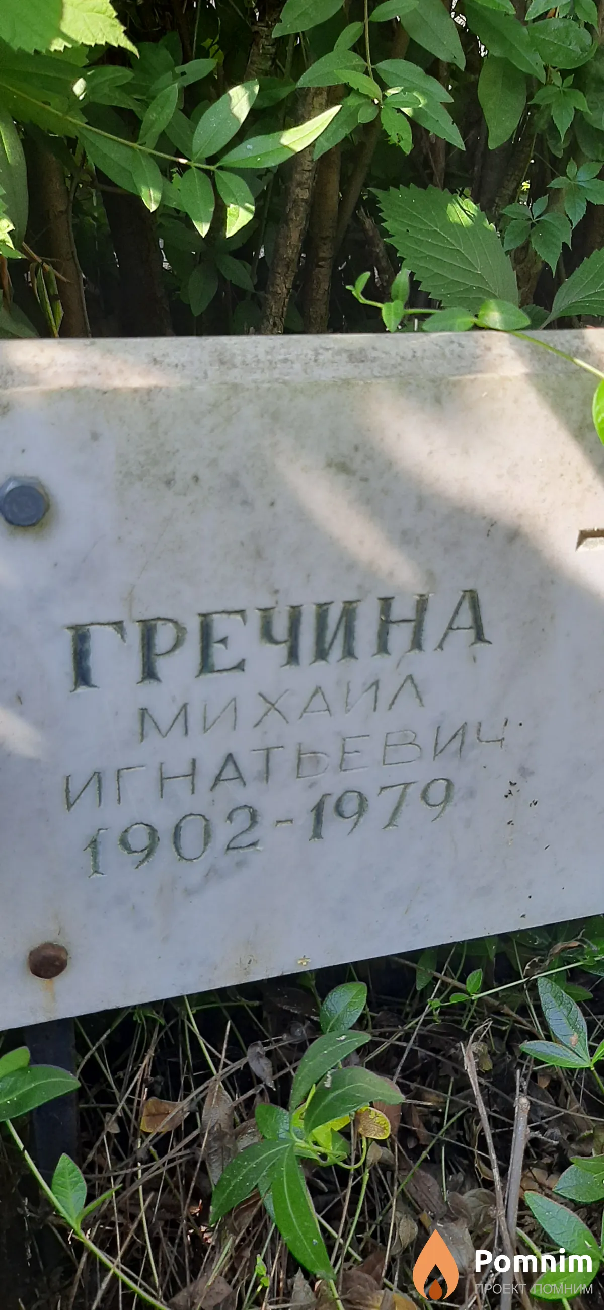 Гречина Михаил Игнатьевич