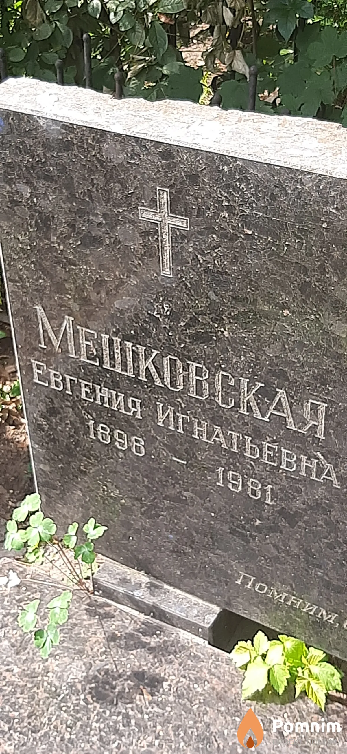 Мешковская Евгения Игнатьевна