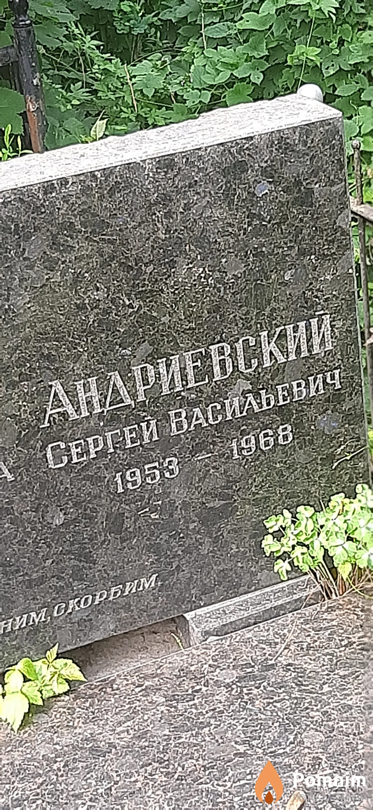 Андриевский Сергей Васильевич