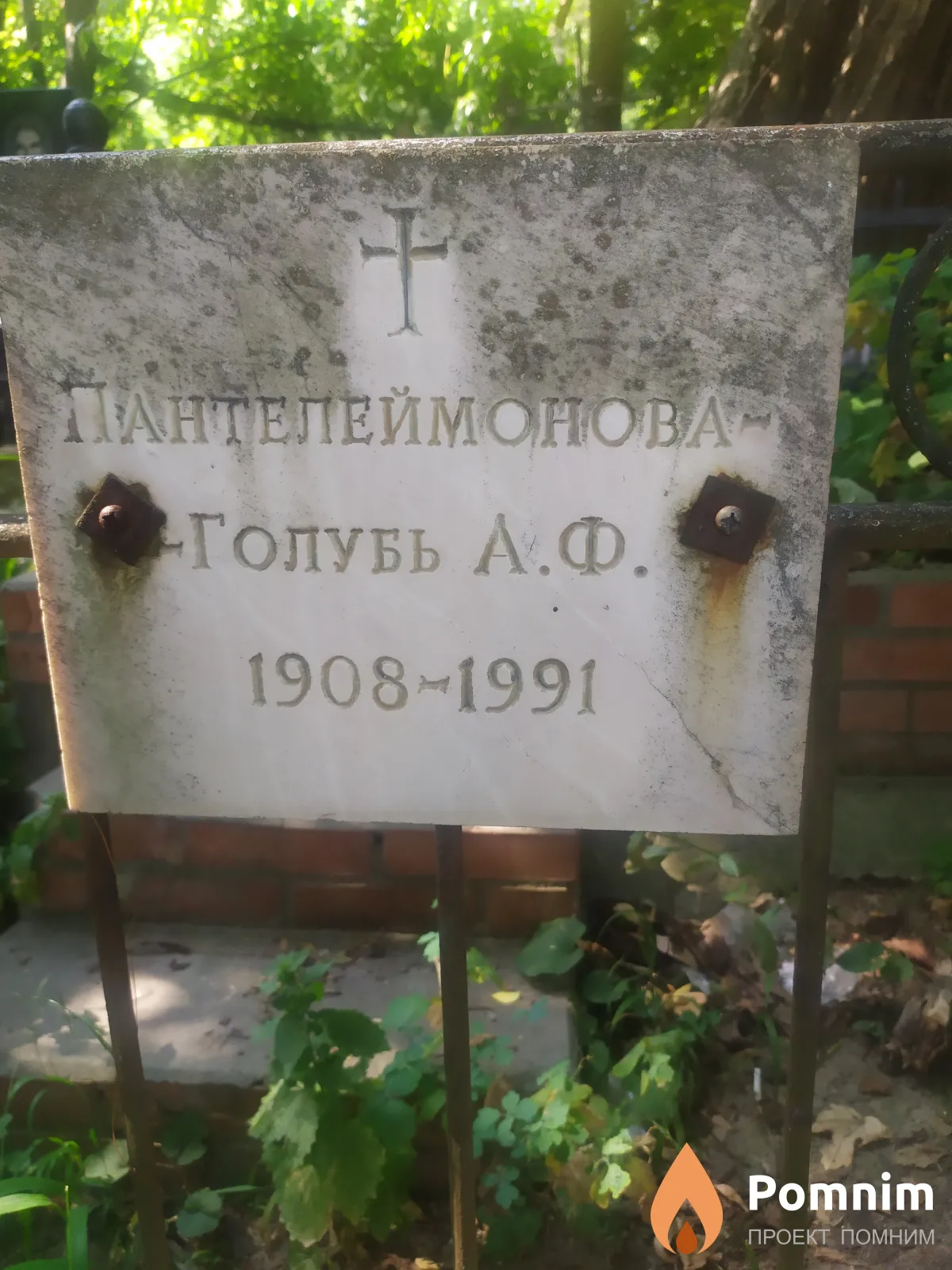 Пантелеймонова-голубь А. Ф.