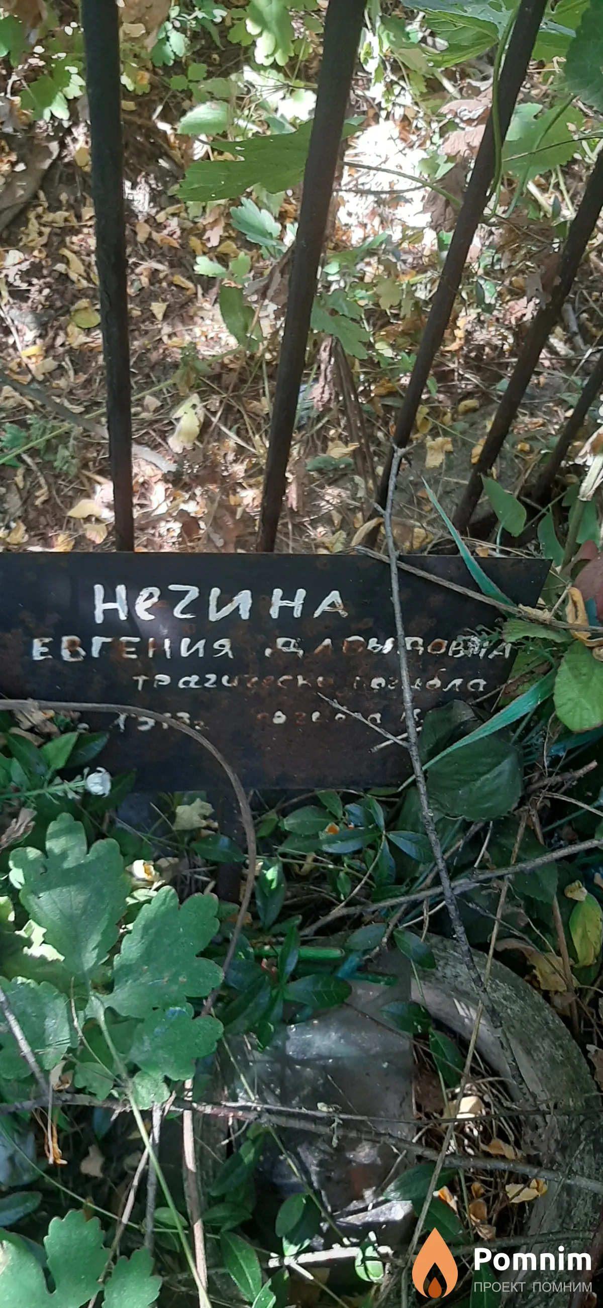 Негина Евгения Давыдовна
