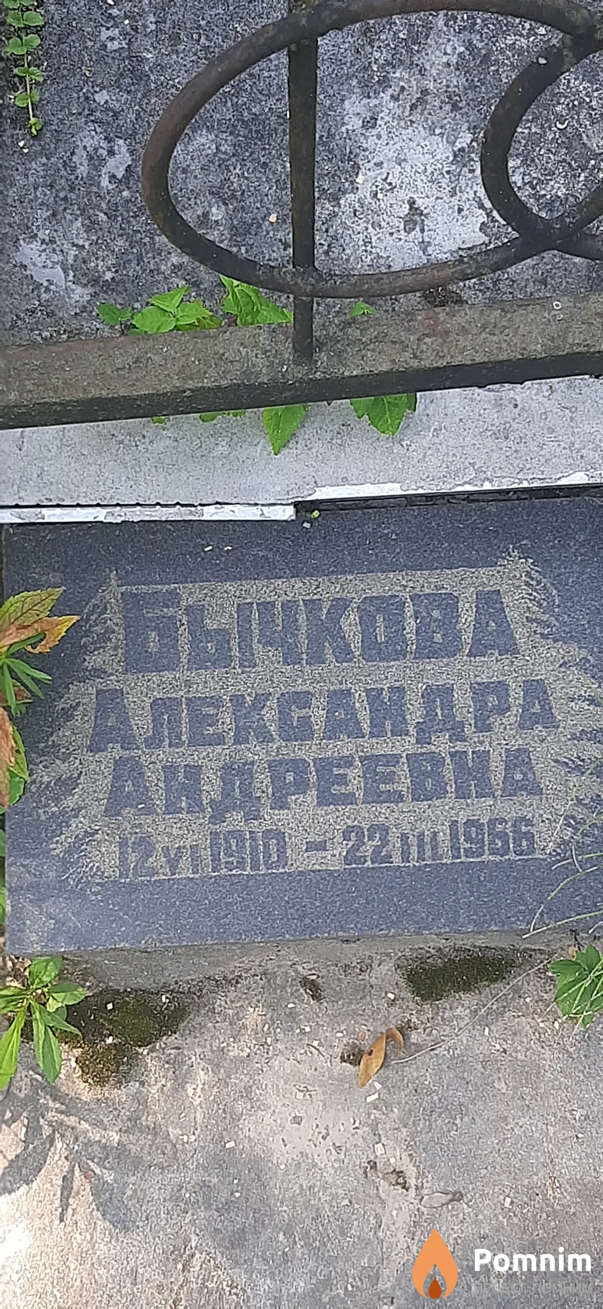 Бычкова Александра Андреевна
