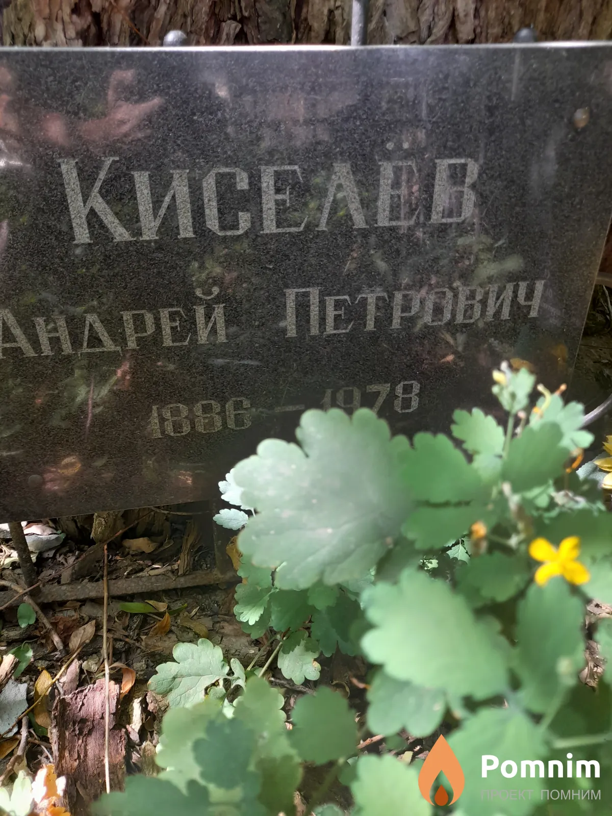 Кисеаев Андрей Петрович