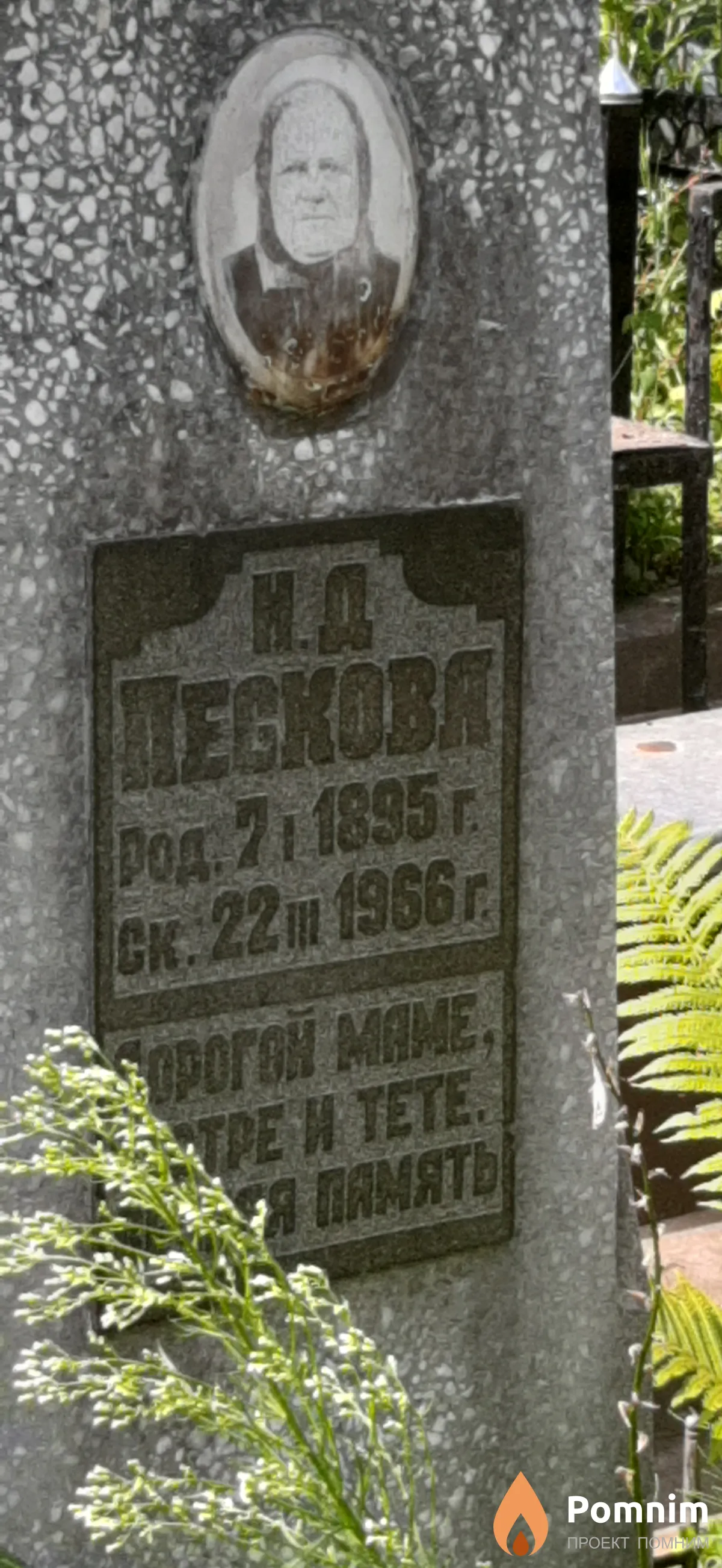 Пескова Н. Д.