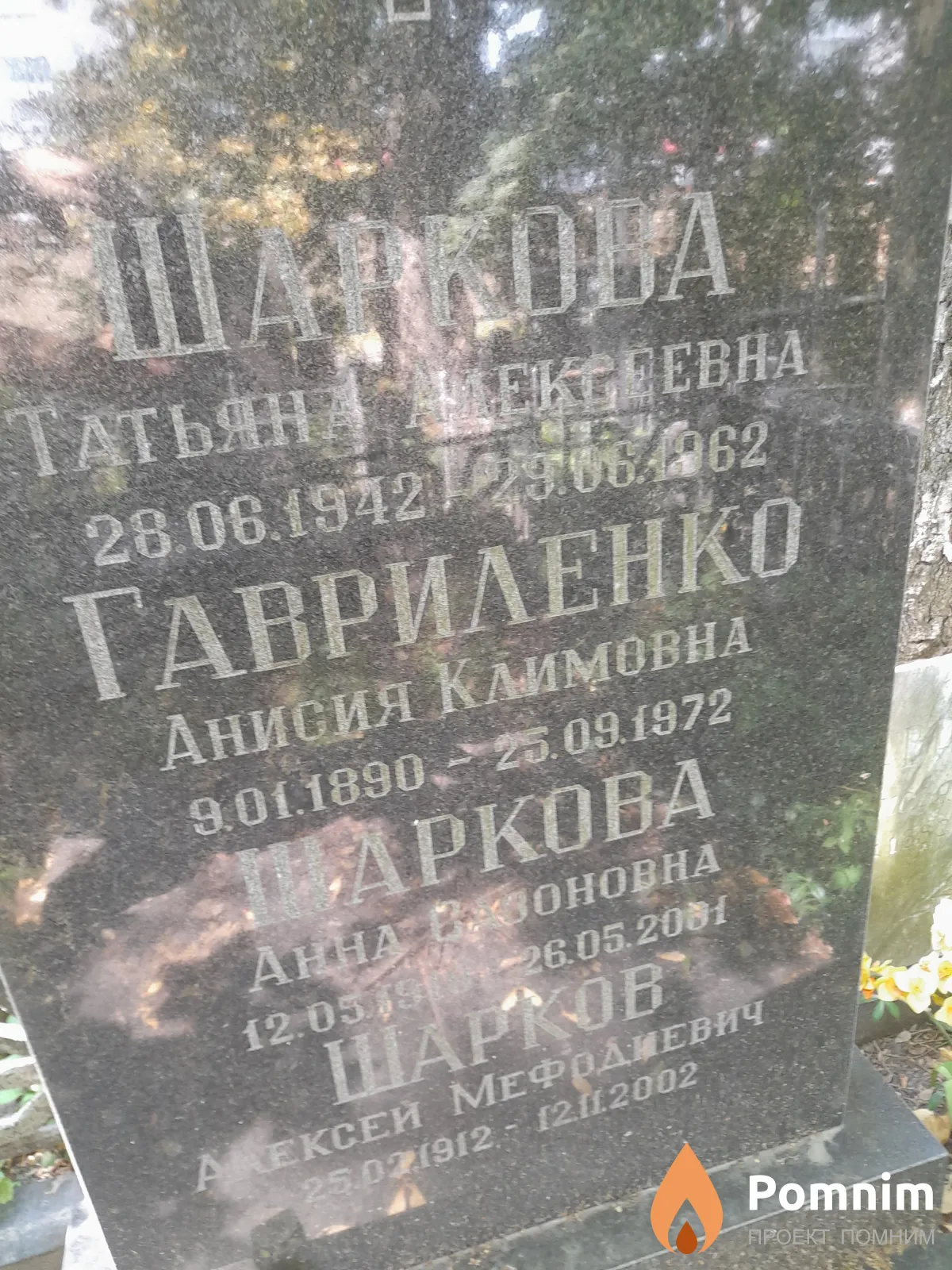 Шаркова Татьяна Алексеевна