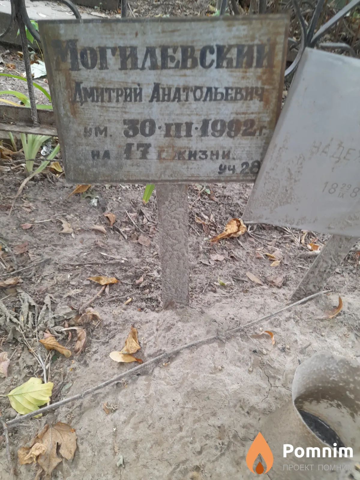 Могилевский Дмитрий Анатольевич