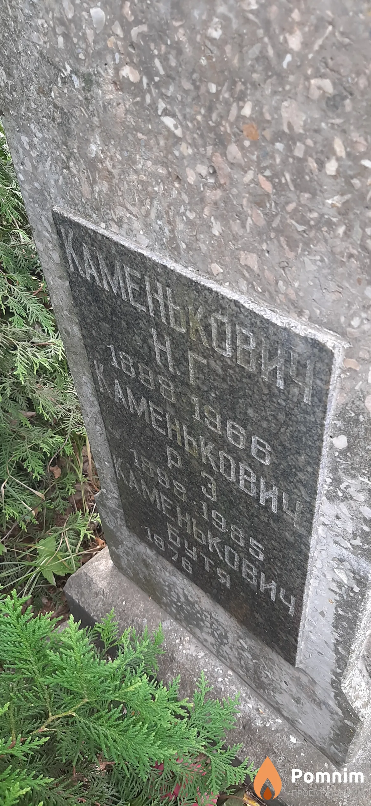 Каменькович Н Г.