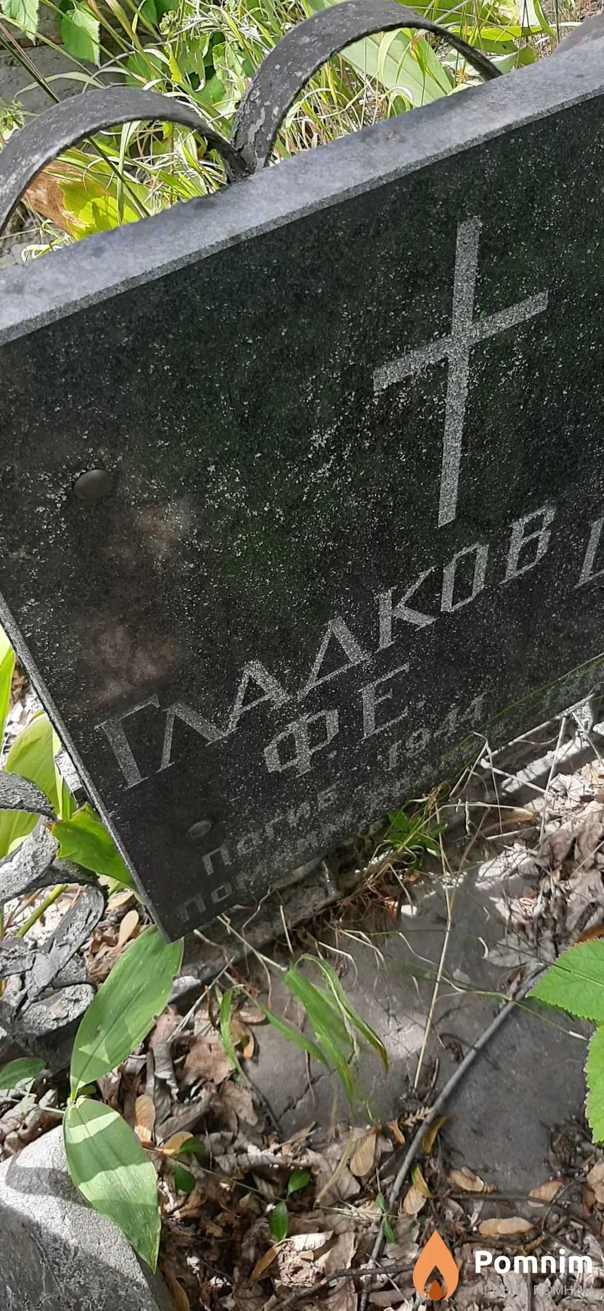 Гладков Ф. Е.