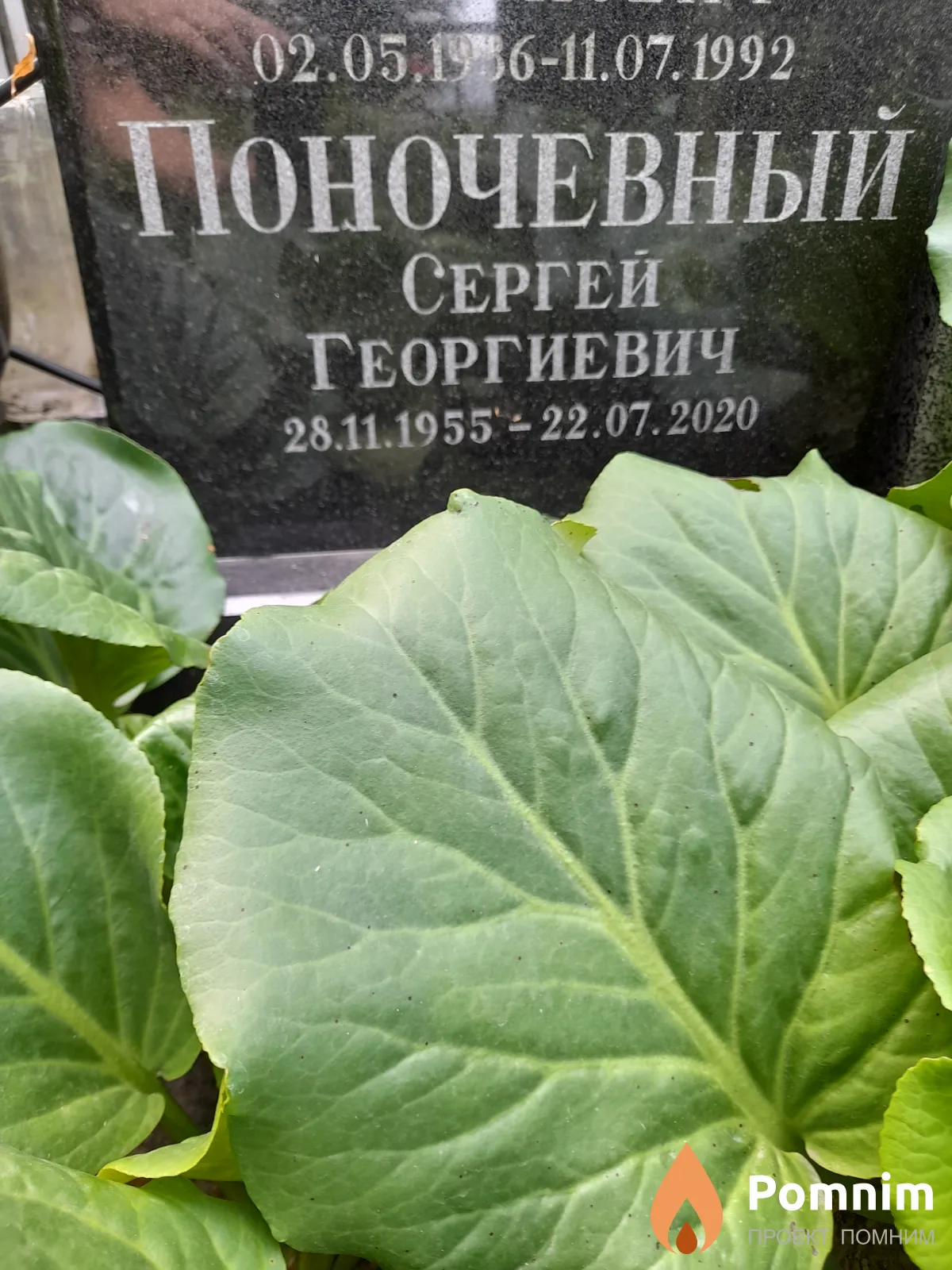 Поночевный Сергей Георгиевич