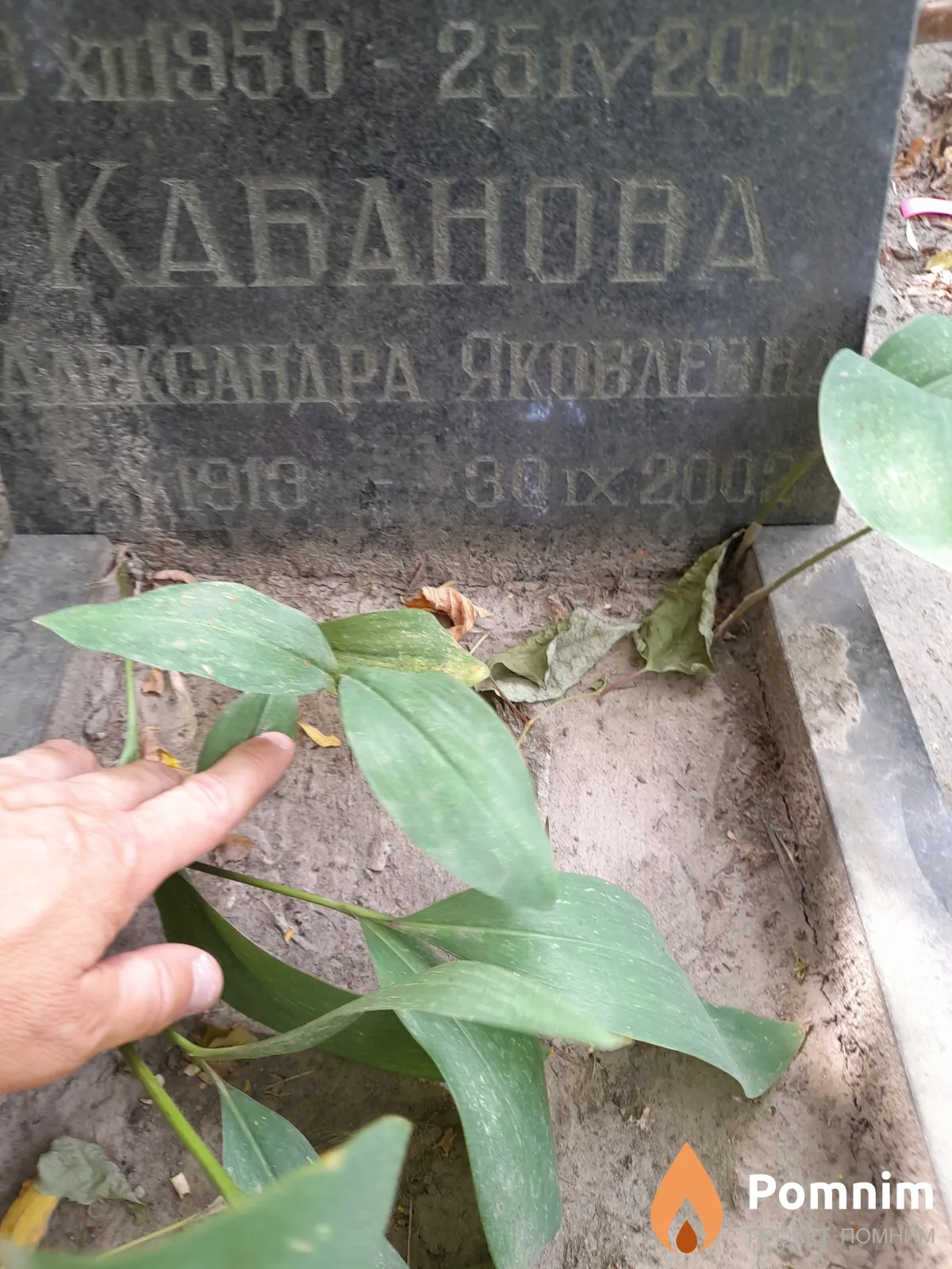 Кабанова Александра Яковлевна