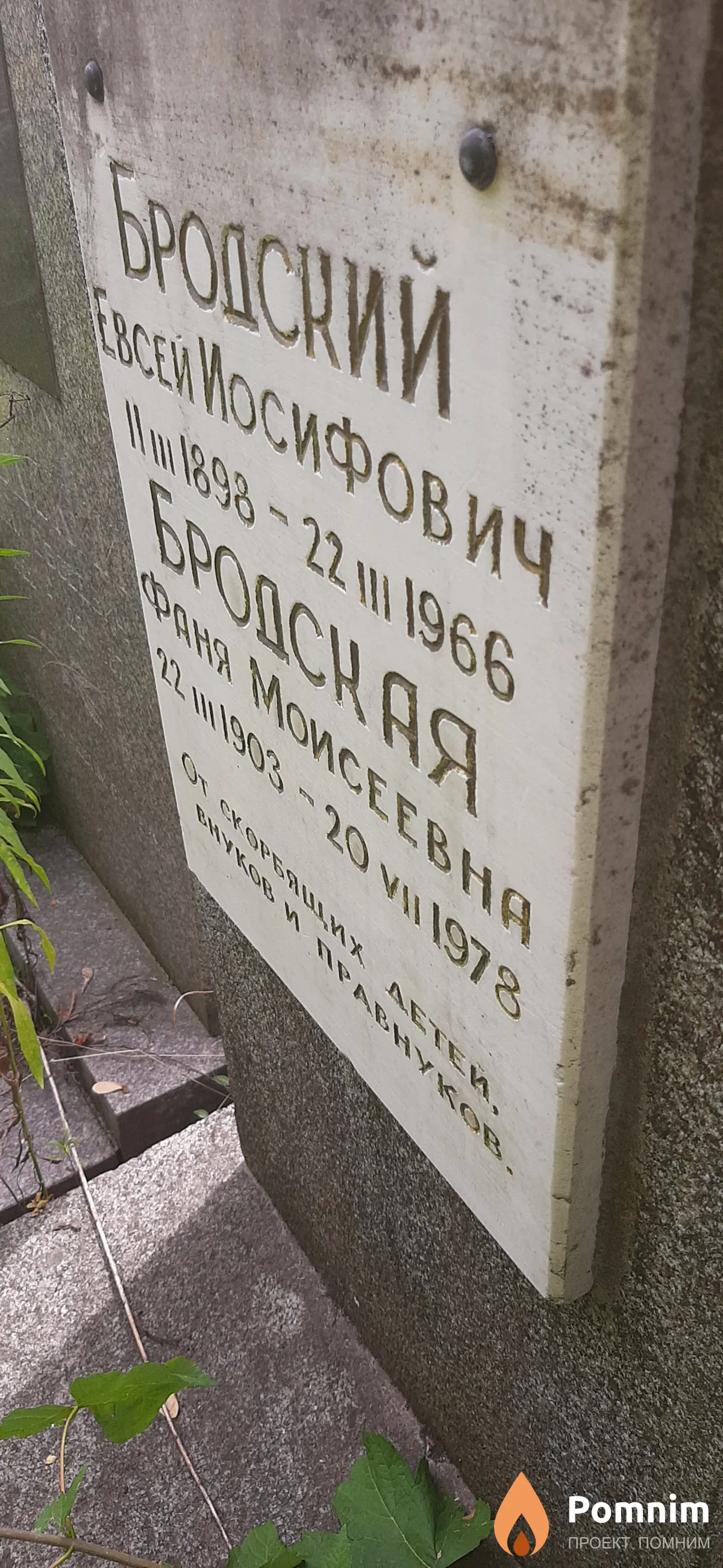 Бродская Фаня Моисеевна
