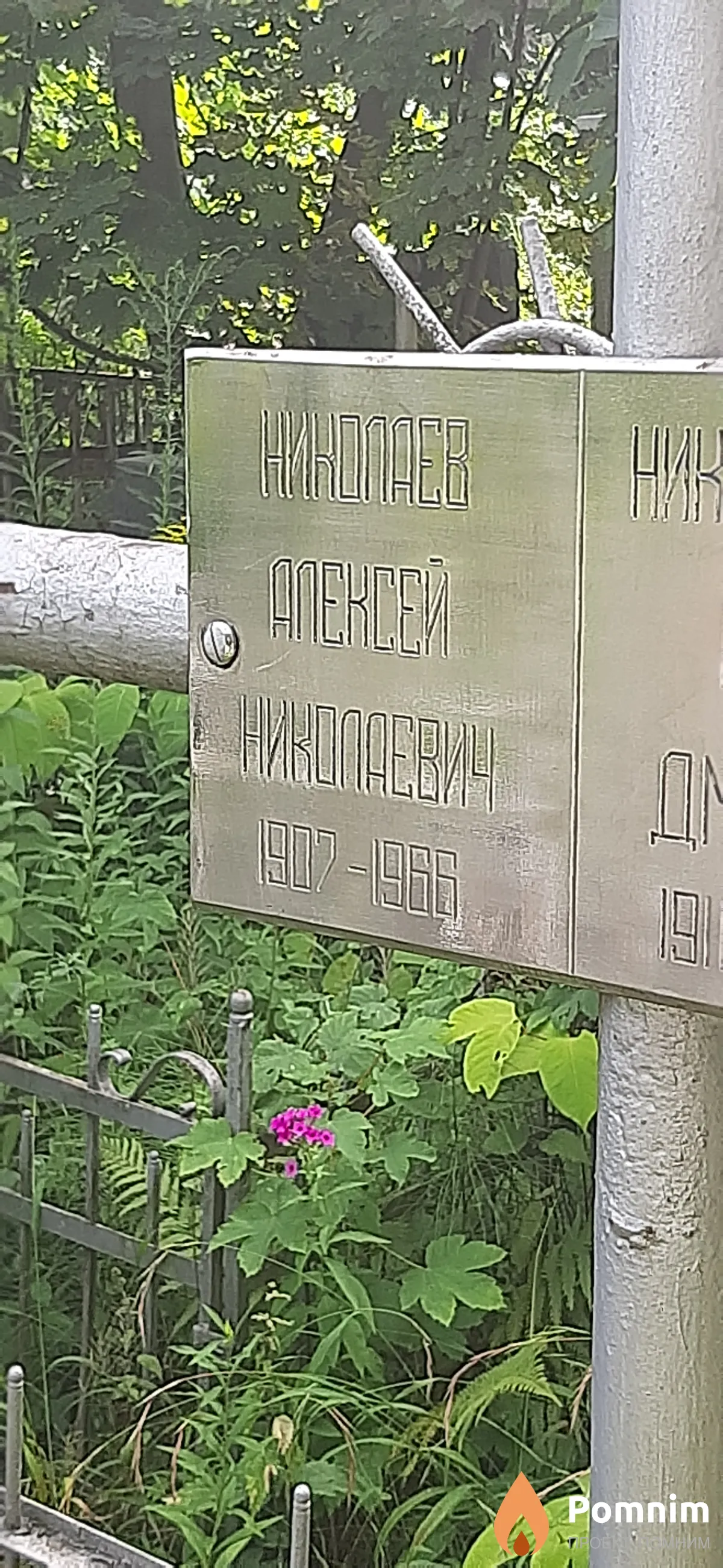 Николаев Алексей Николаевич