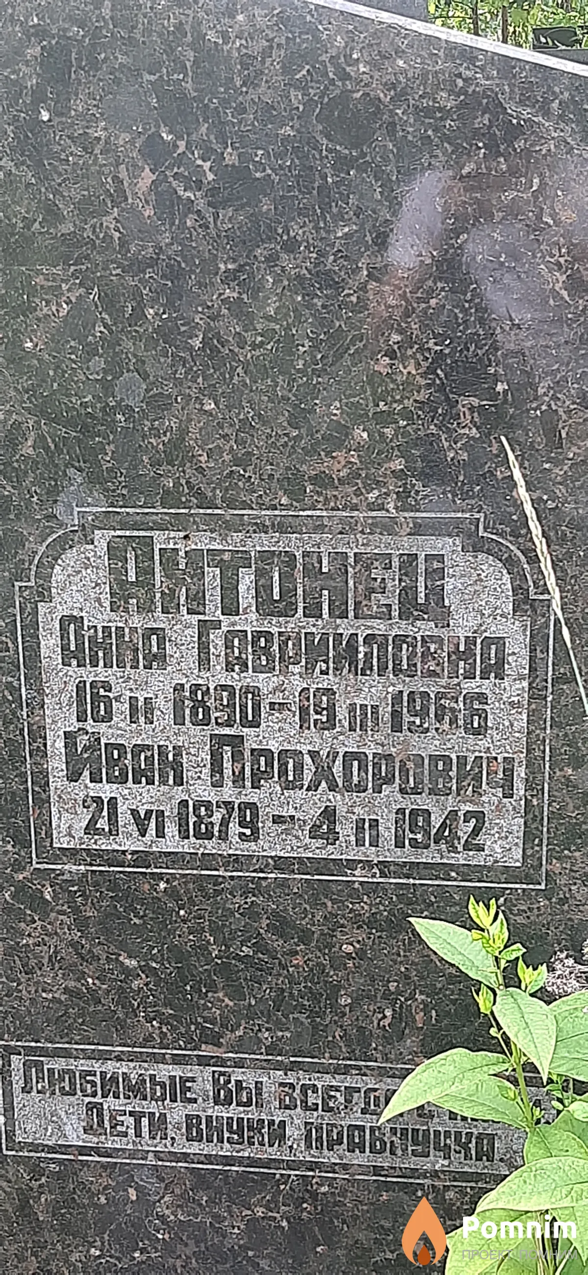 Антонец Анна Гавриловна