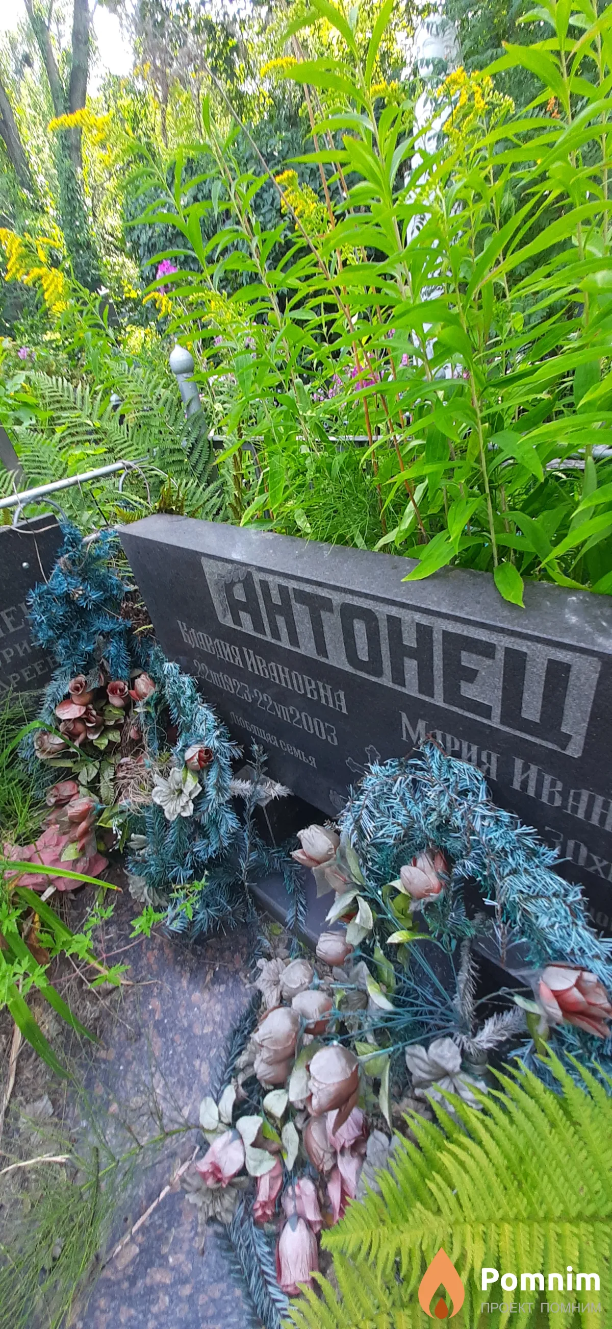 Антонец Клавдия Ивановна