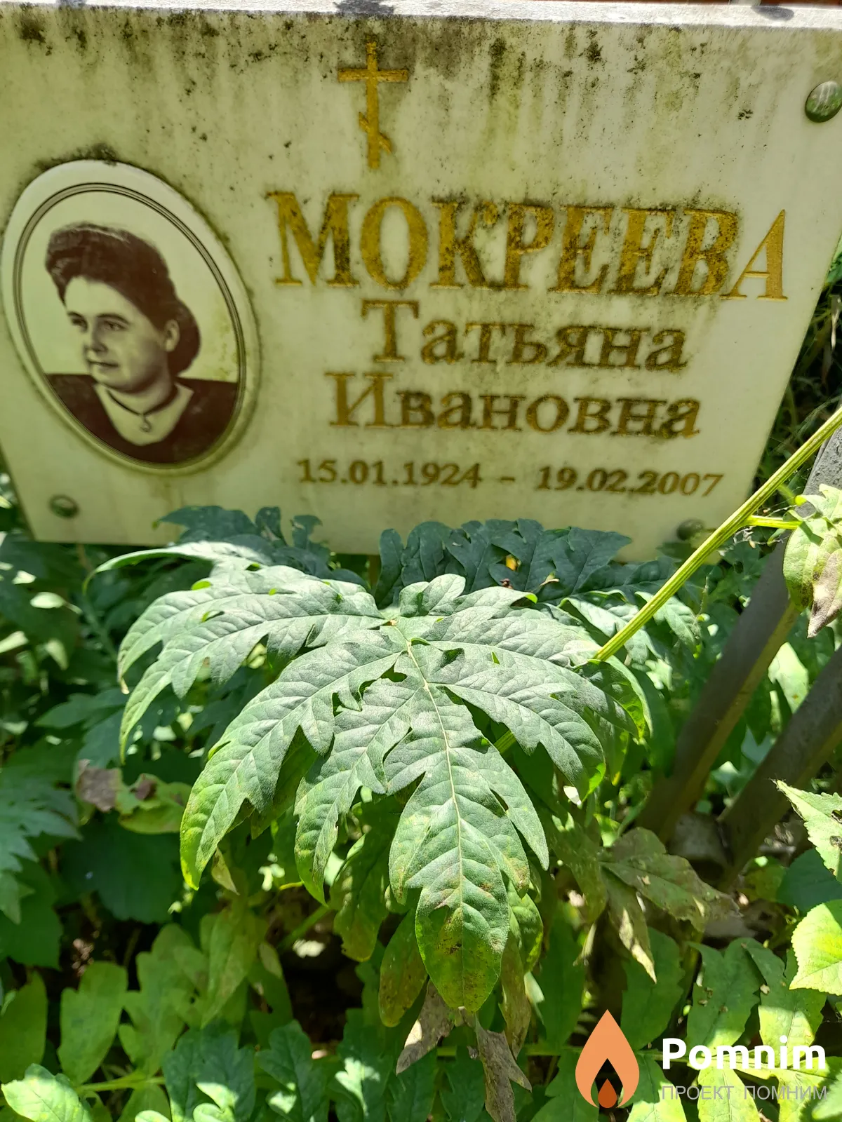 Moкреева Татьяна Ивановна