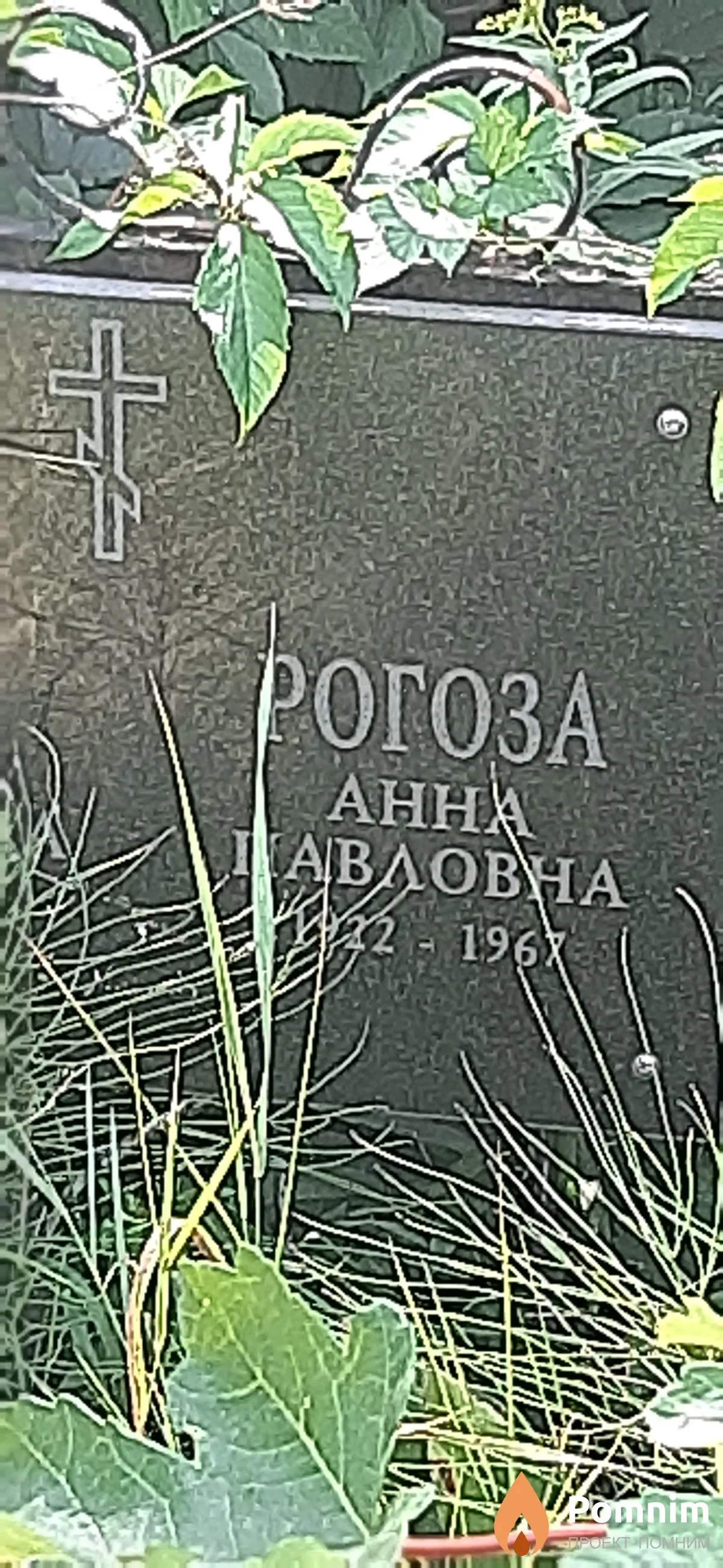 Рогоза Анна Павловна
