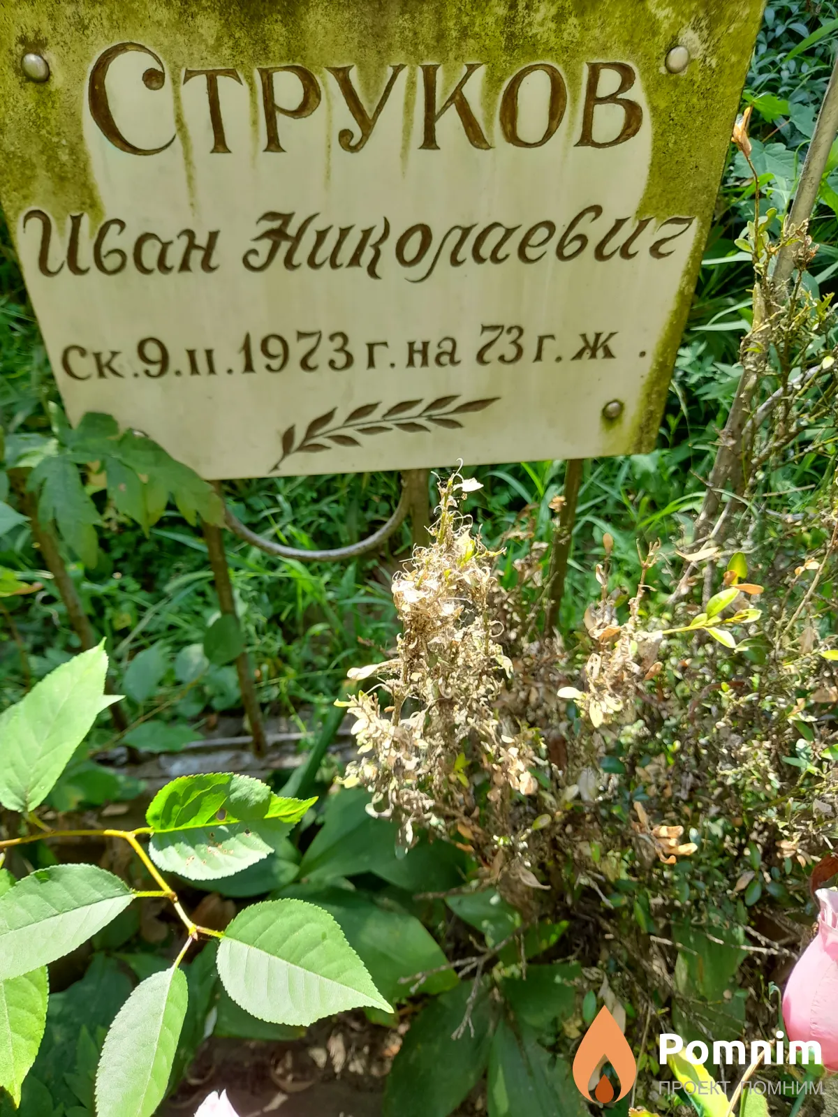Струков Иван Николаевич