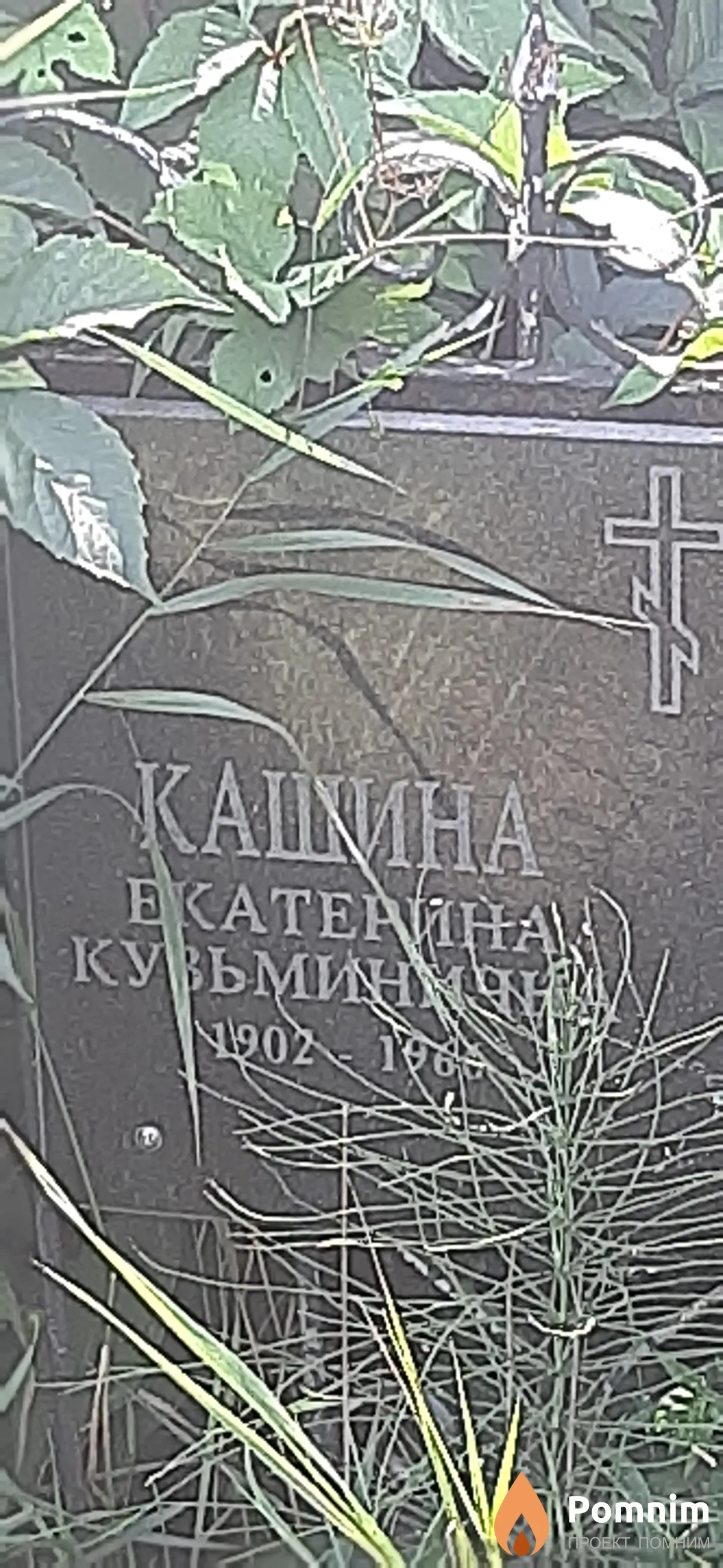 Кашина Екатерина Кузьминична