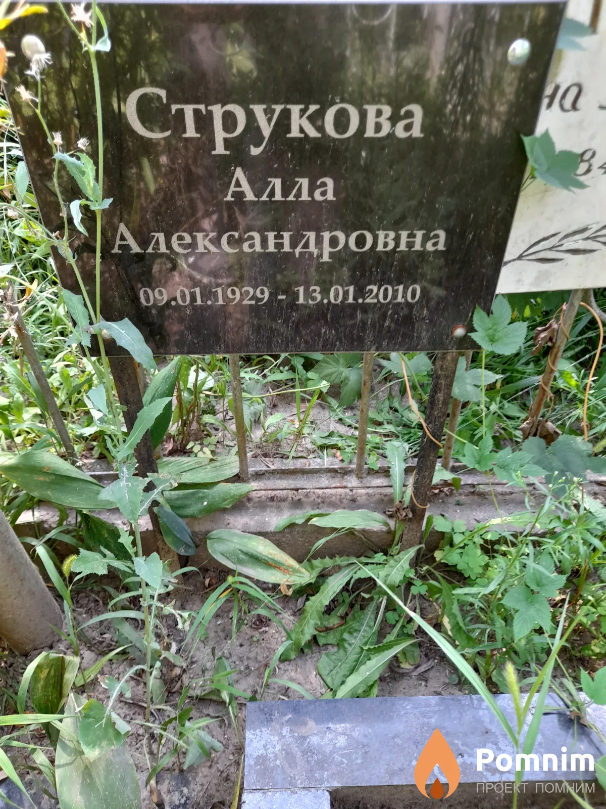 Струкова Алла Александровна