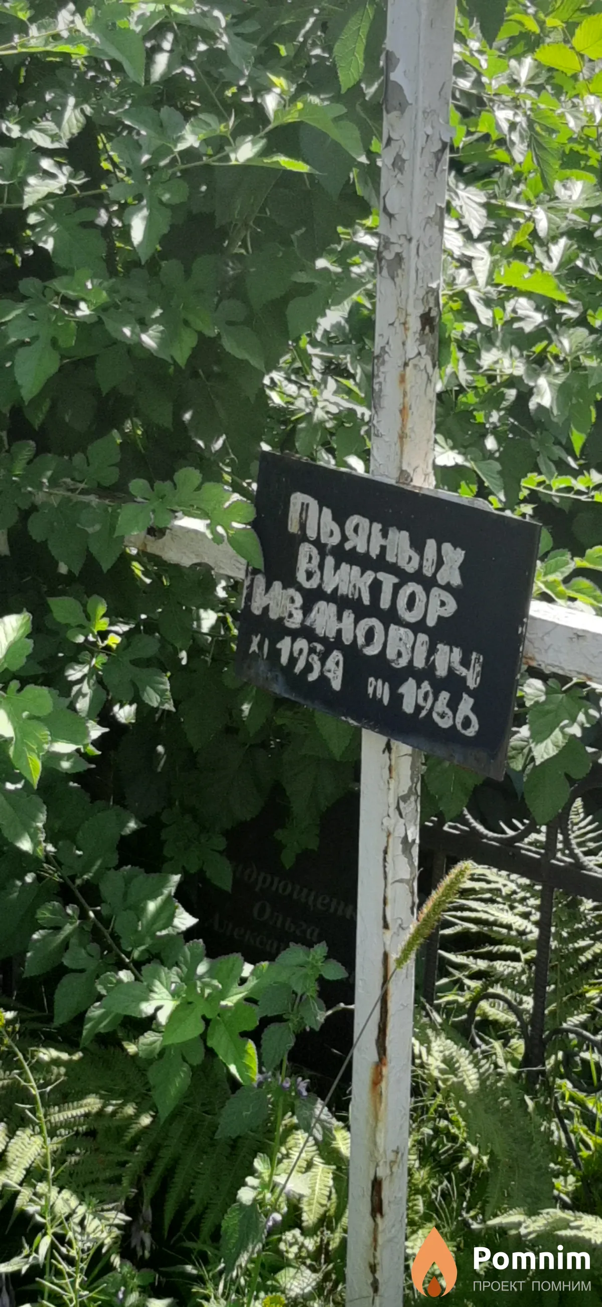 Пьяных Bиктор Иванович