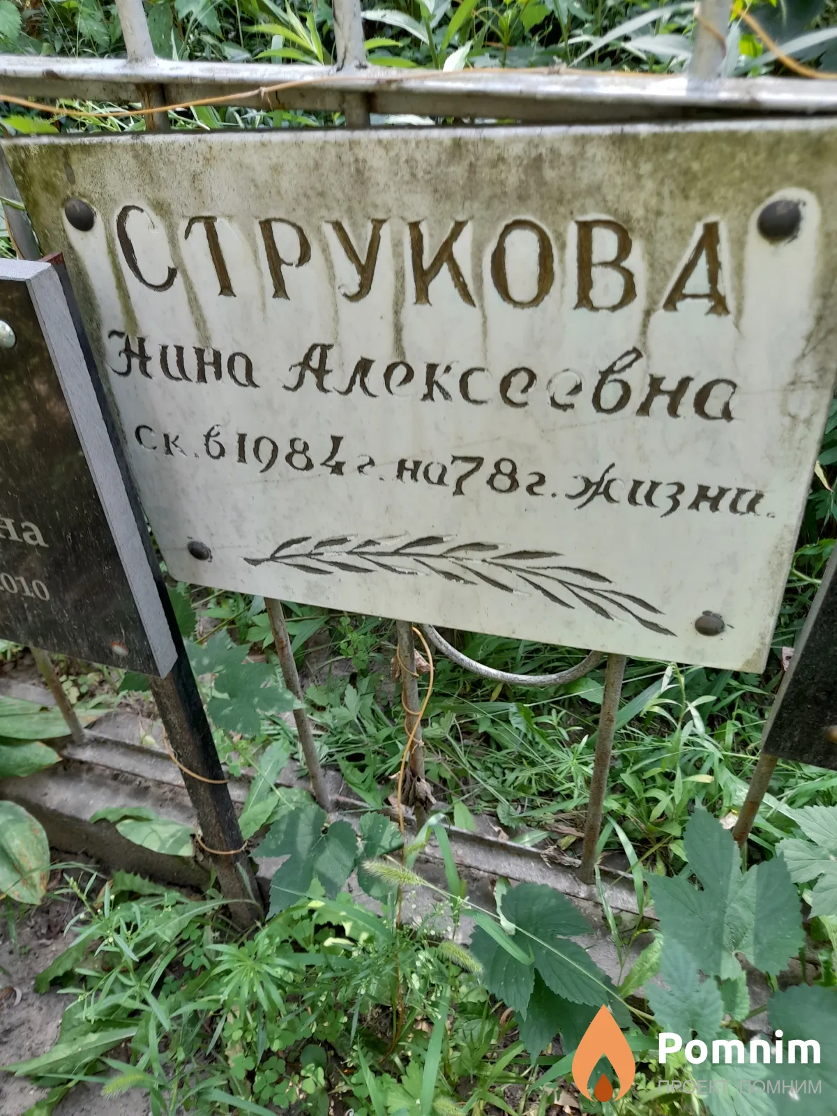 Струкова Нина Алексеевна