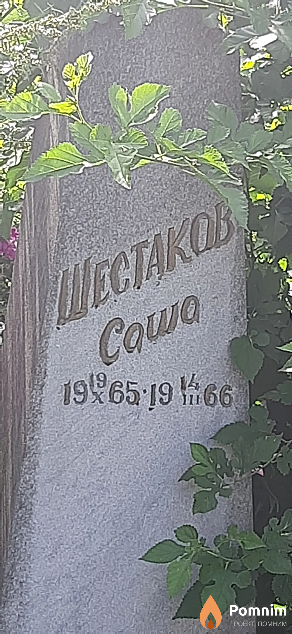 Шестаков Саша