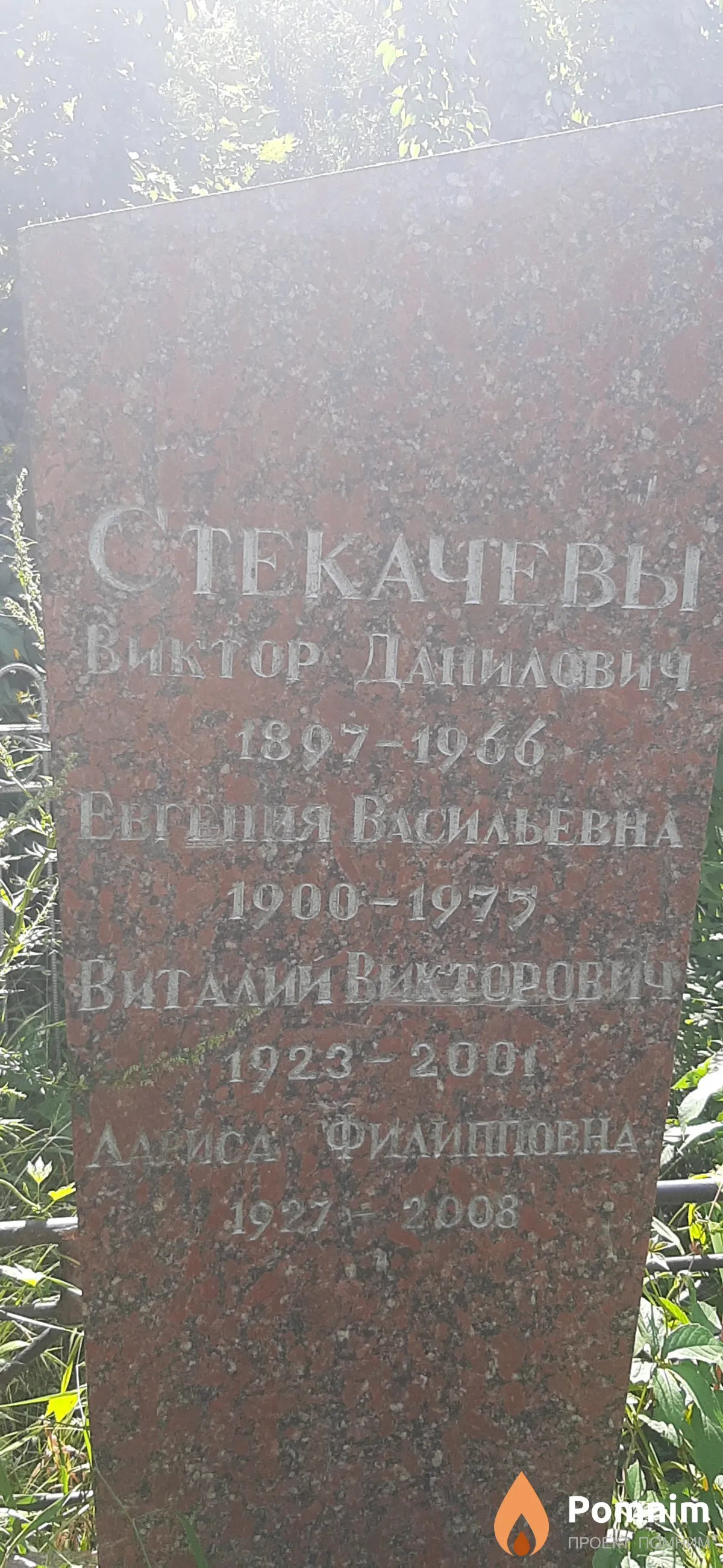 Стекачева Евгения Васильевна