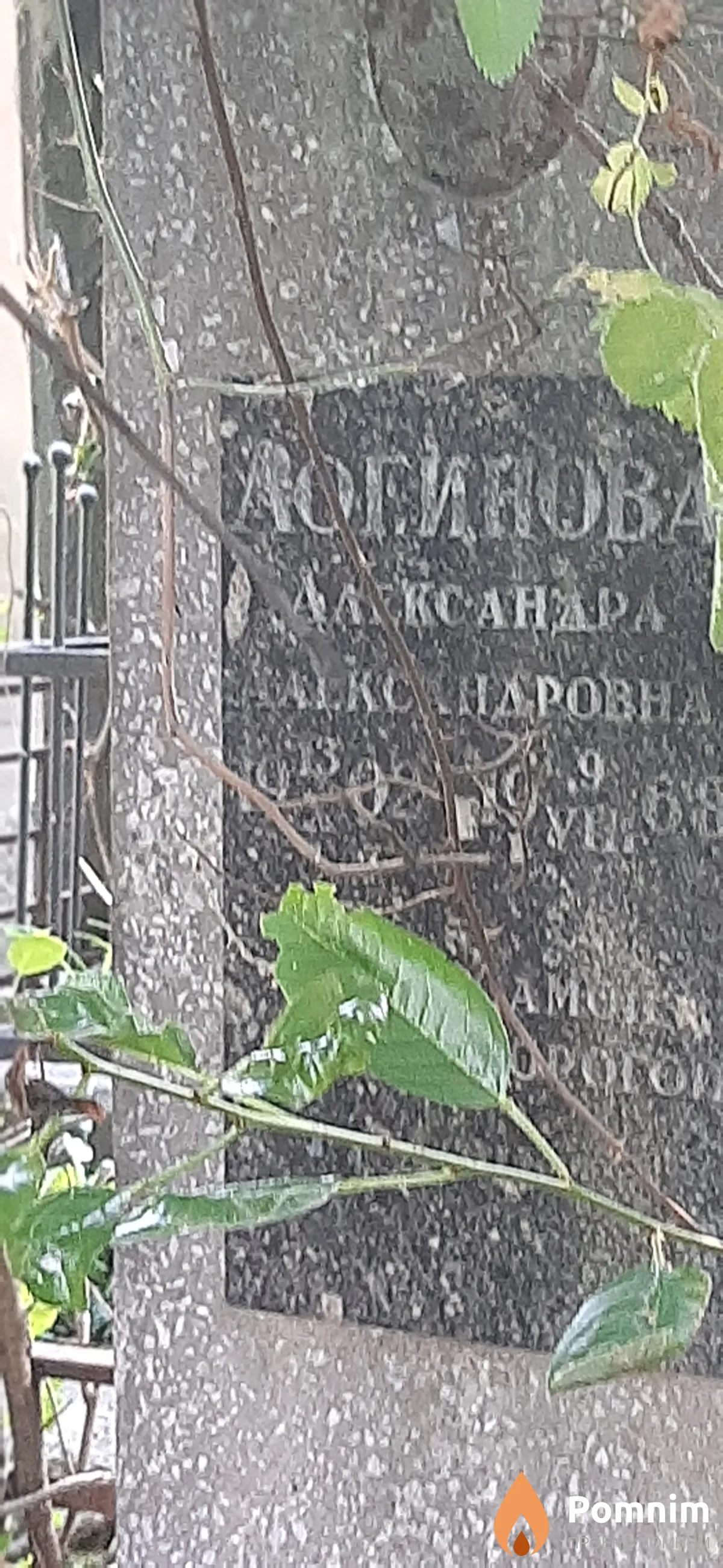 Логинова Александра Александрова
