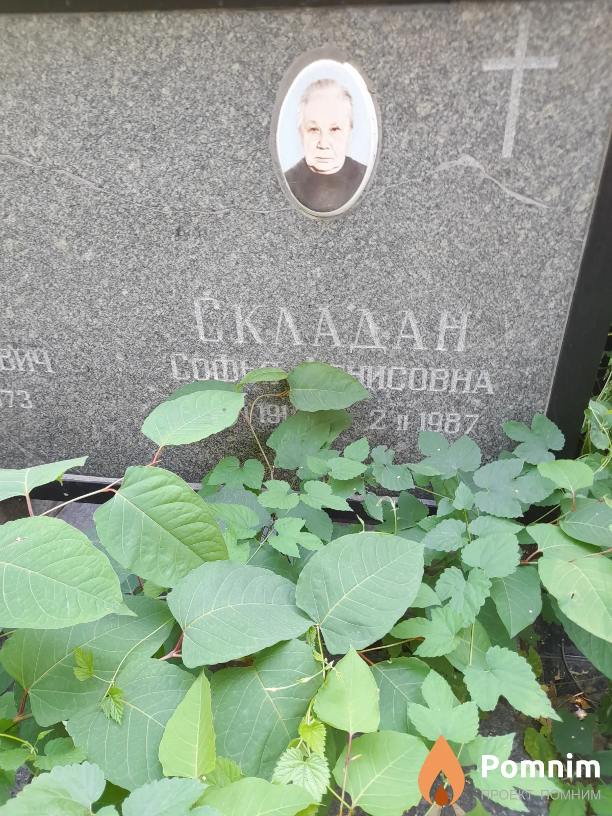 Складан Софья Денисовна