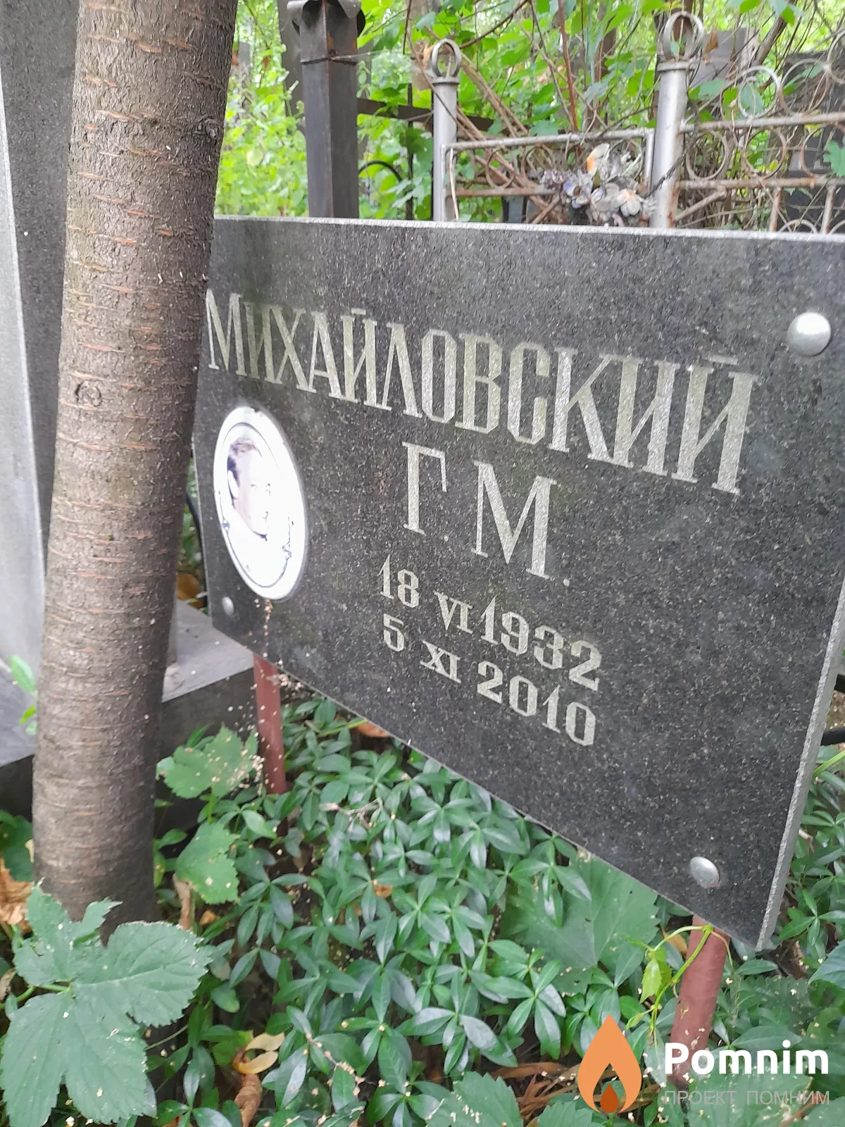 Михайловский Г М