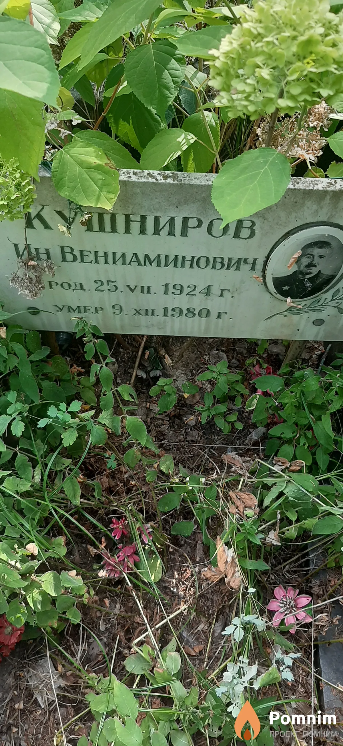 Кушнирова Ин Вениаминович