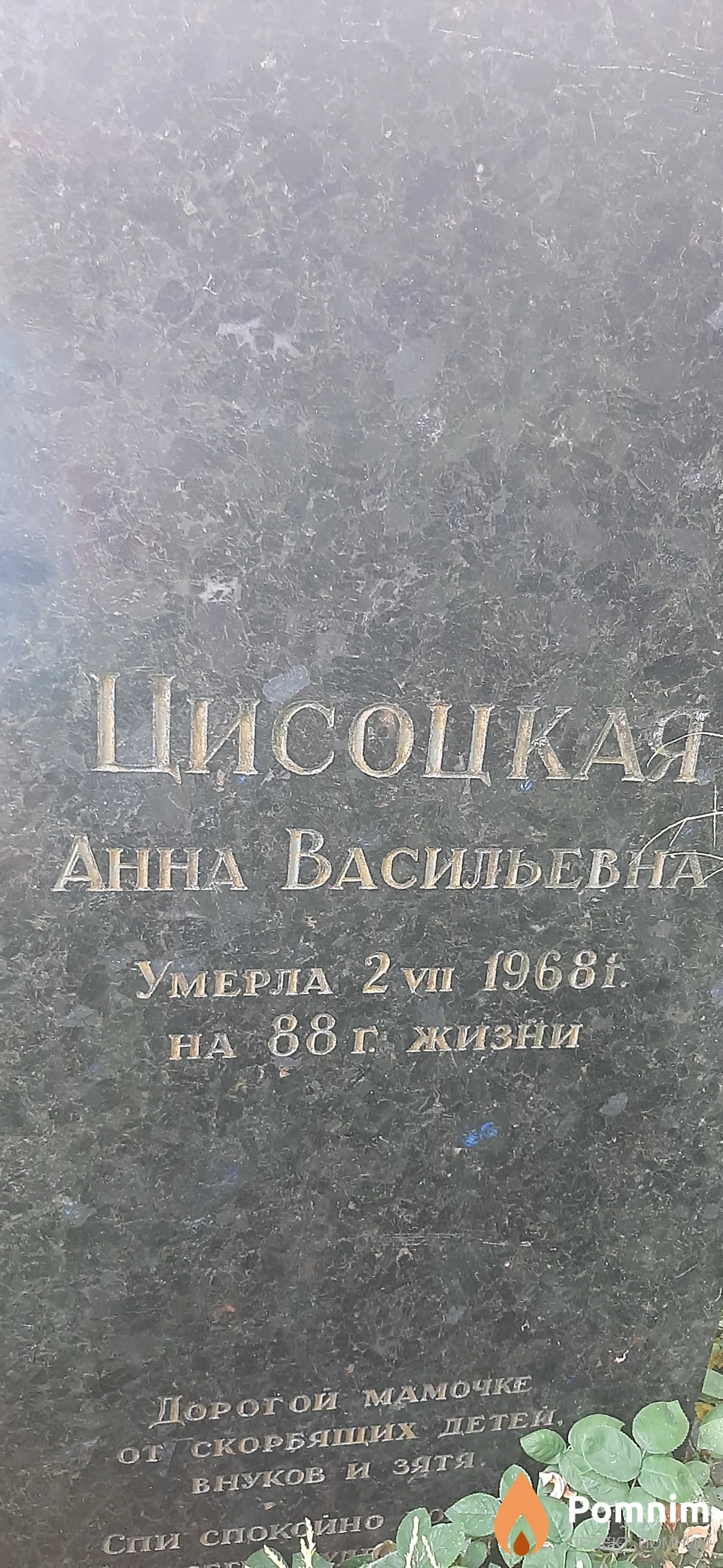 Цисоцкая Анна Васильевна
