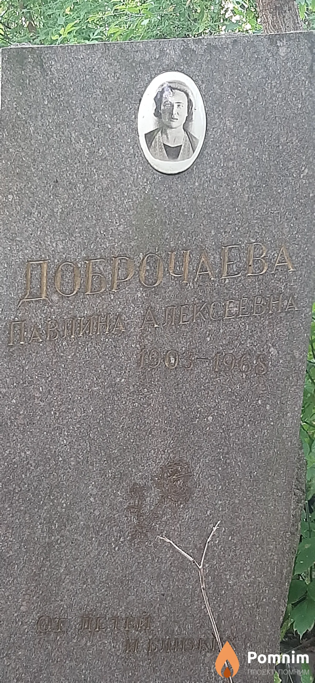Доброчаева Павлина Алексеевна