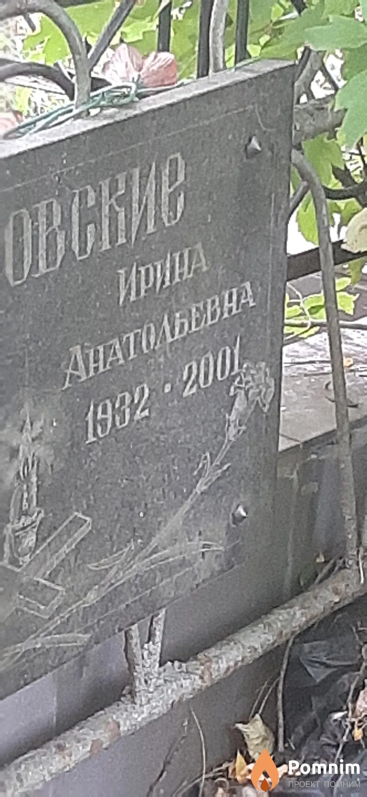 Тарковские Ирина Анатольевна